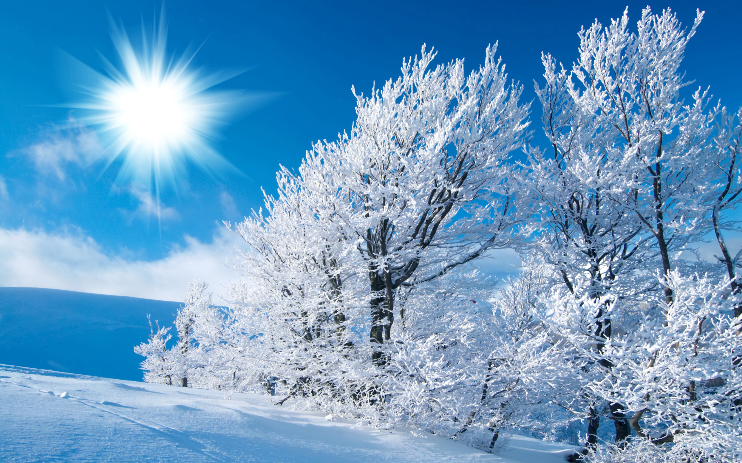 0 Winter Backgrounds HD Group Winter Backgrounds Scenes Group