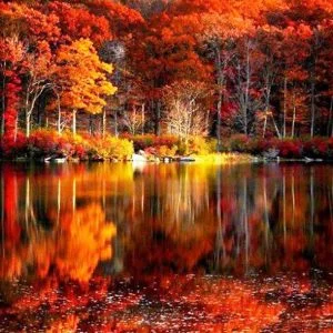 Beautiful Fall Scenery