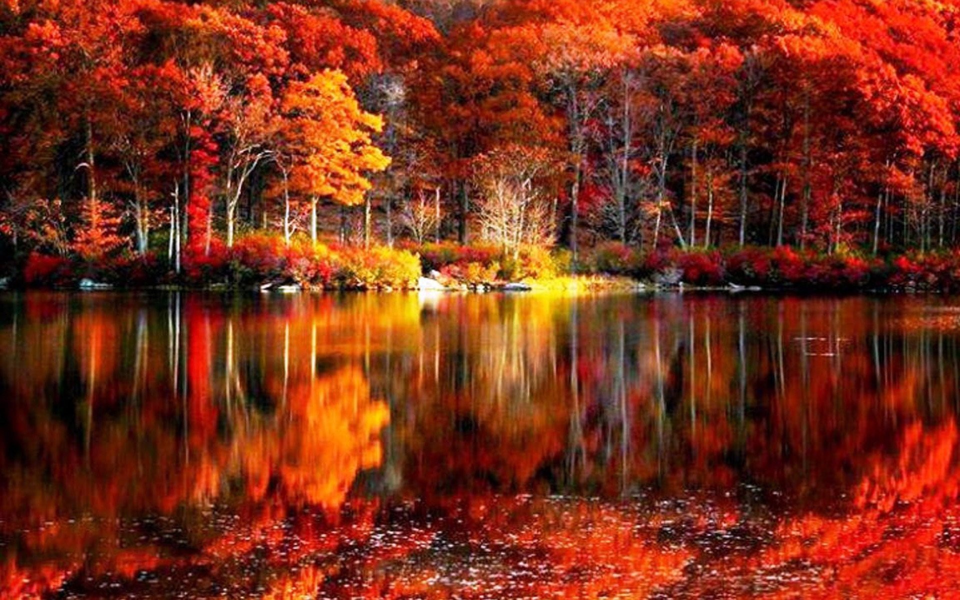 Fall Foliage Wallpaper Free Download.