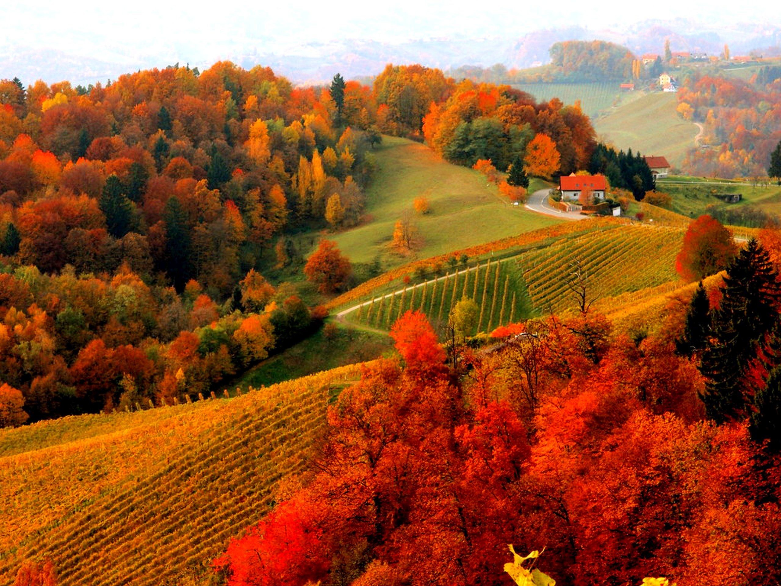 Beautiful autumn season wallpapers – Fall Foliage Wallpapers For Desktop Wallpaper Gallery. Download