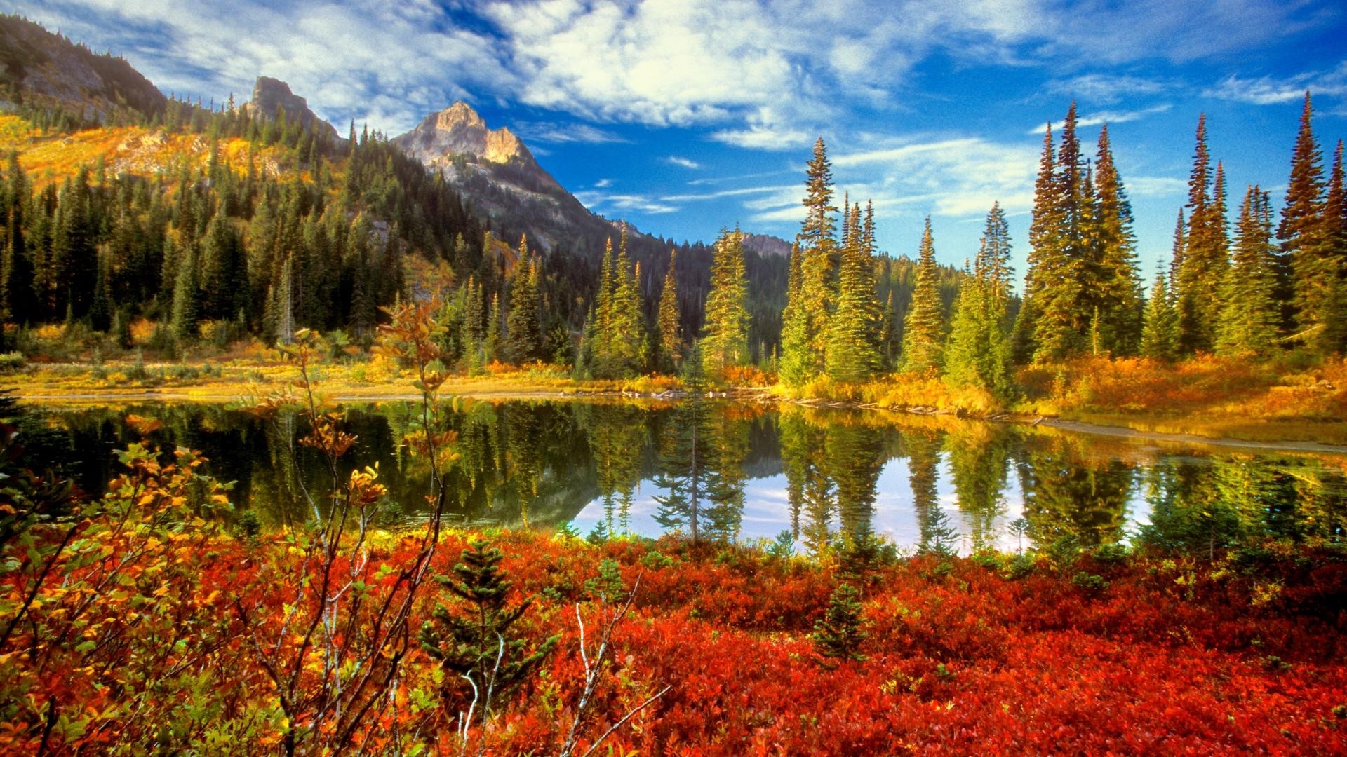 Beautiful Fall Backgrounds – WallpaperSafari