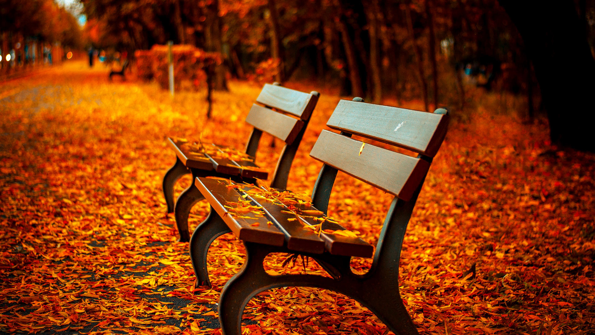 Fall Scenery Wallpapers Free Download | PixelsTalk.Net