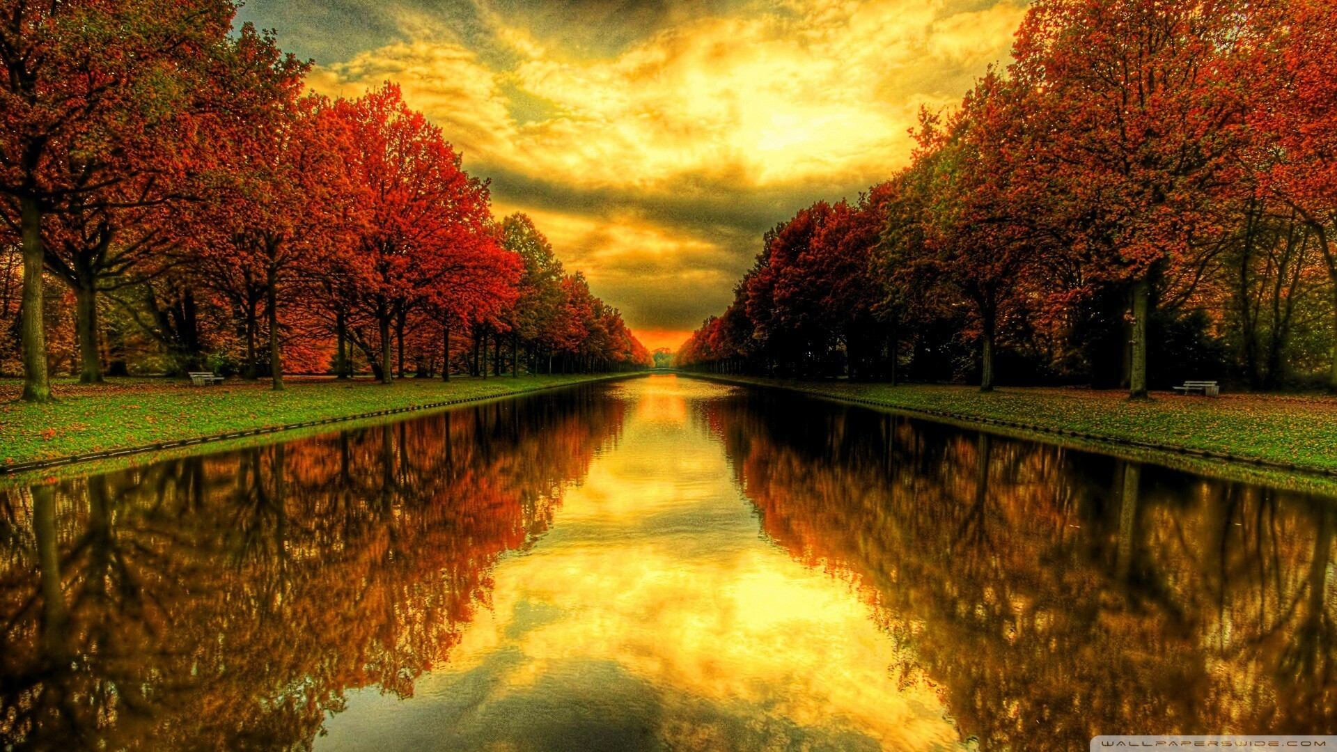#autumn #leaves #sunset #sun #sky #fall #leaves #wallpaper