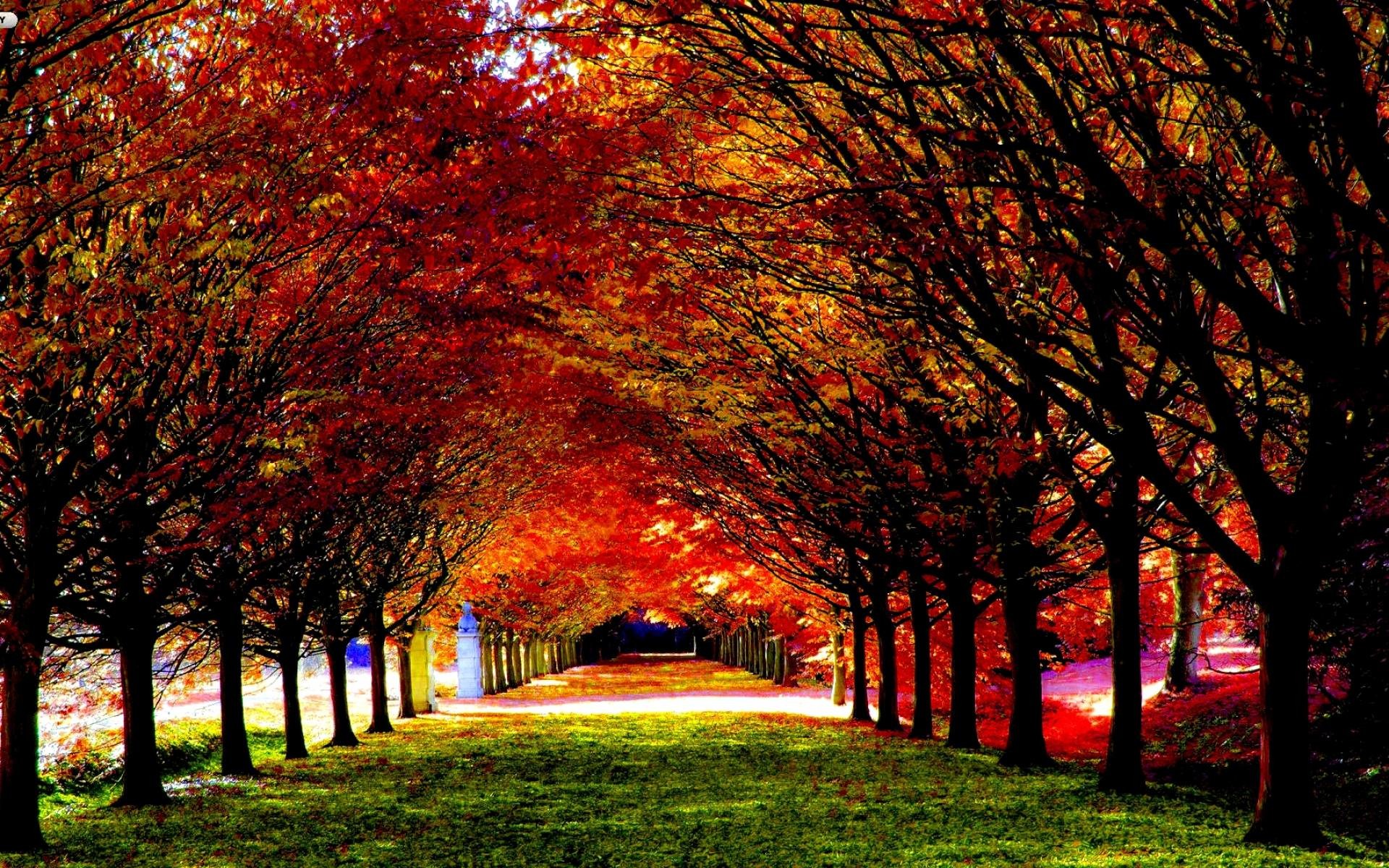 Autumn wallpapers hd desktop backgrounds images and pictures