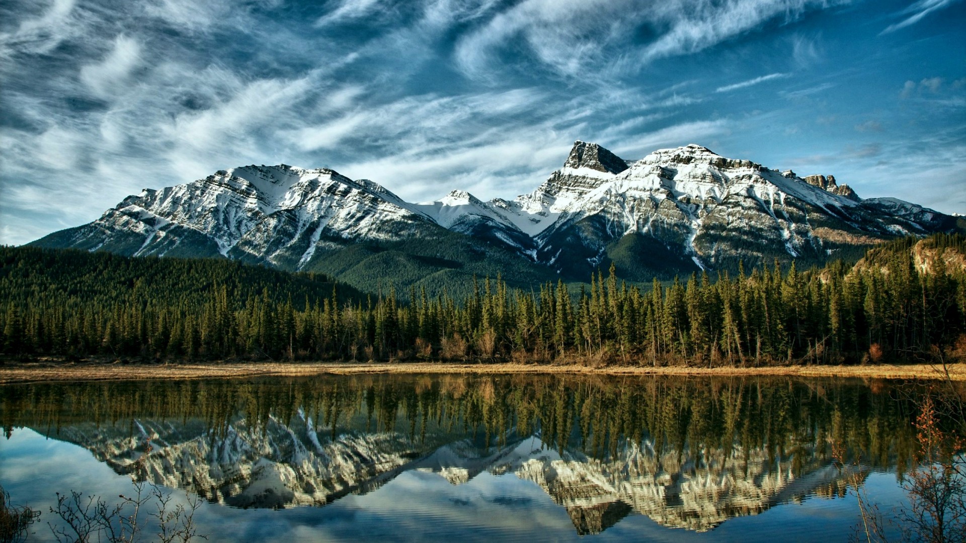mountains, reflection, wood