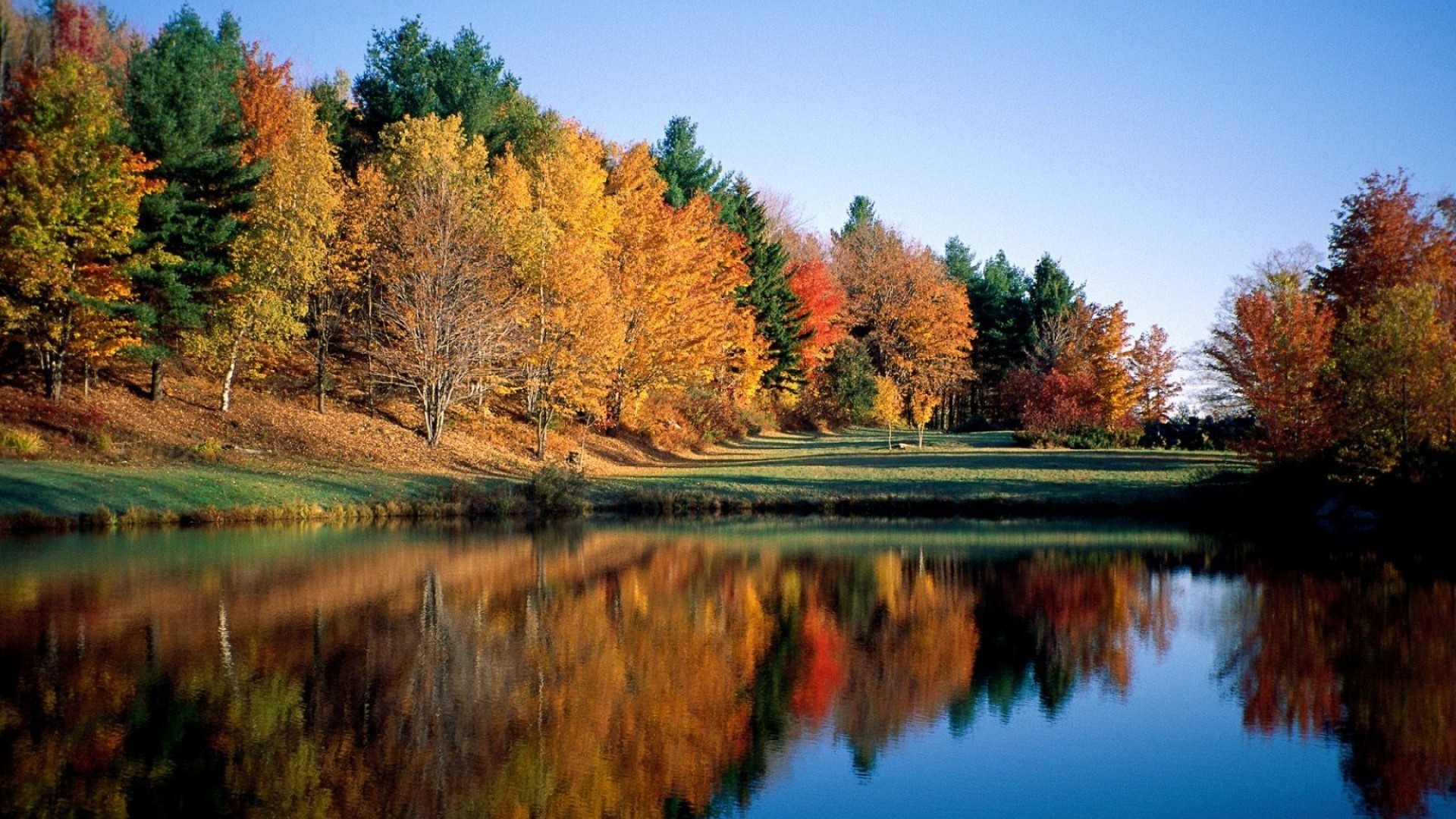 Autumn Trees Lake