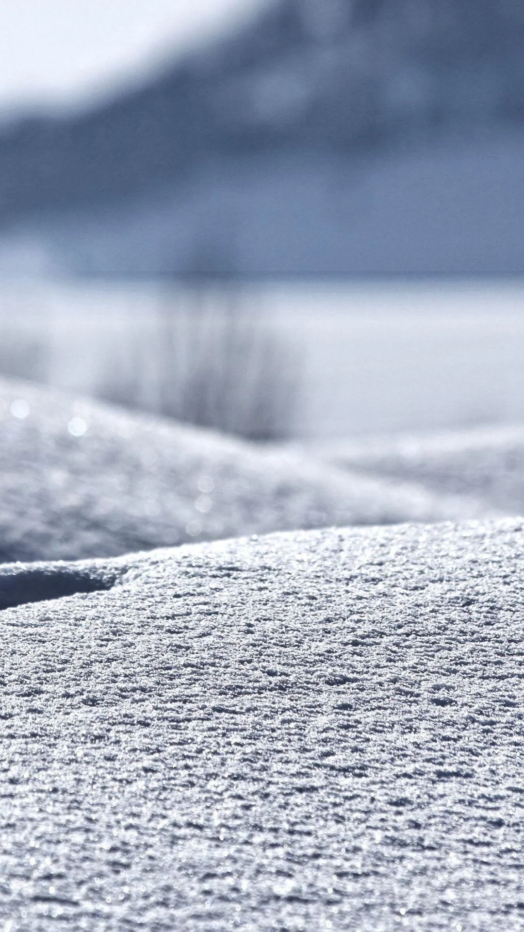 Winter In My Backyard iPhone 6 Plus HD Wallpaper …
