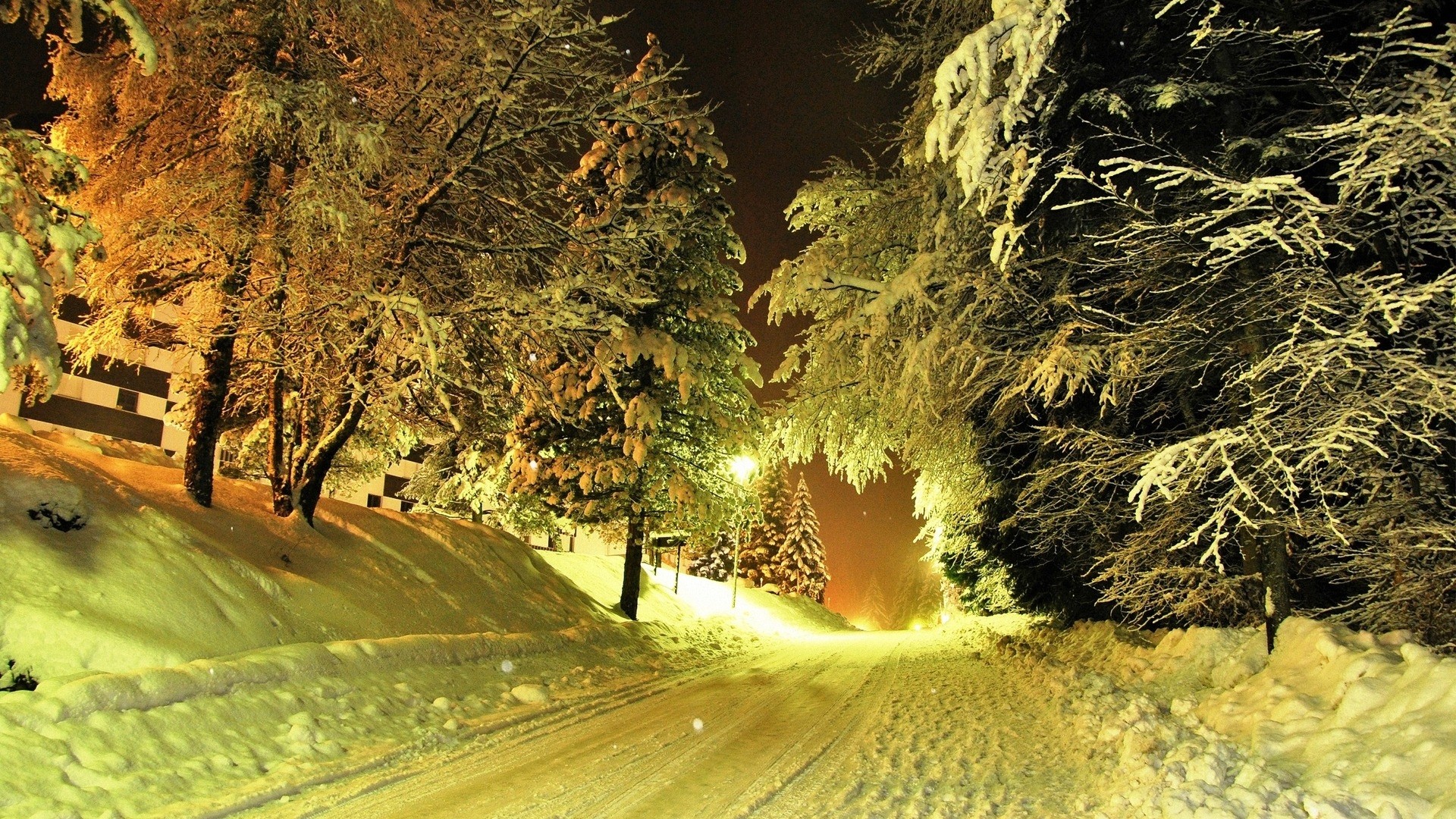Winter Nights HD Wallpaper