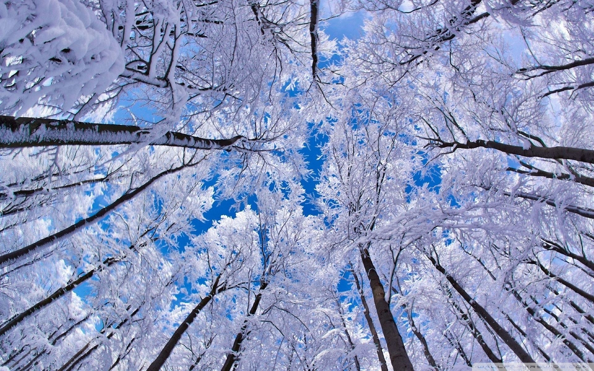 Winter Solstice  Bing Wallpaper Download
