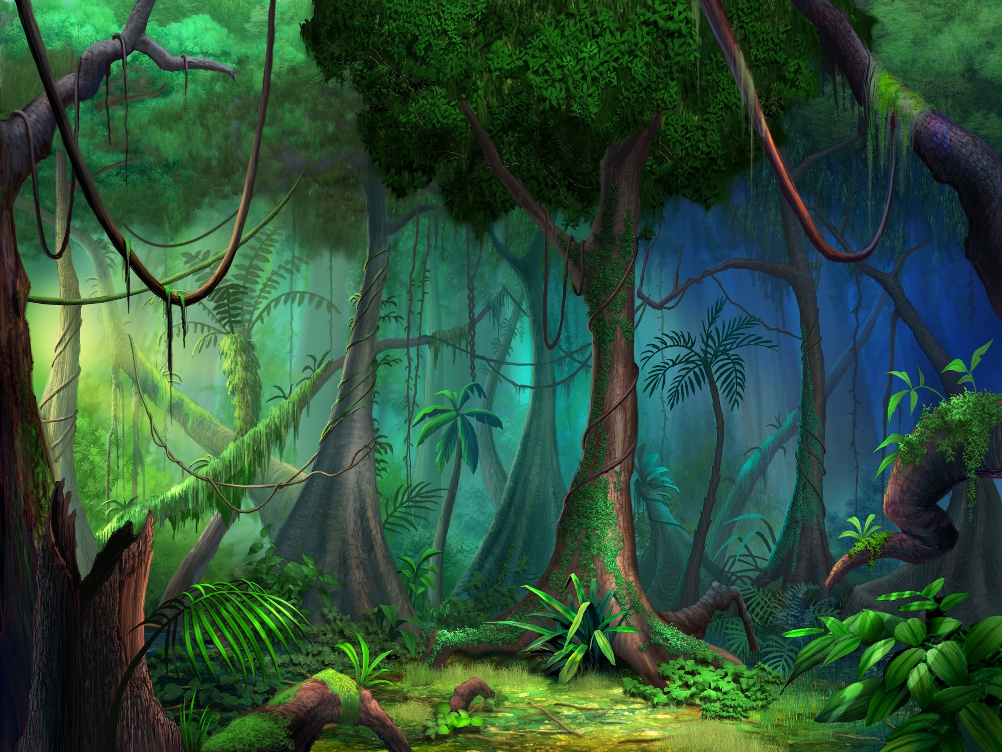 Rainforest Wall Mural Photo Wallpaper