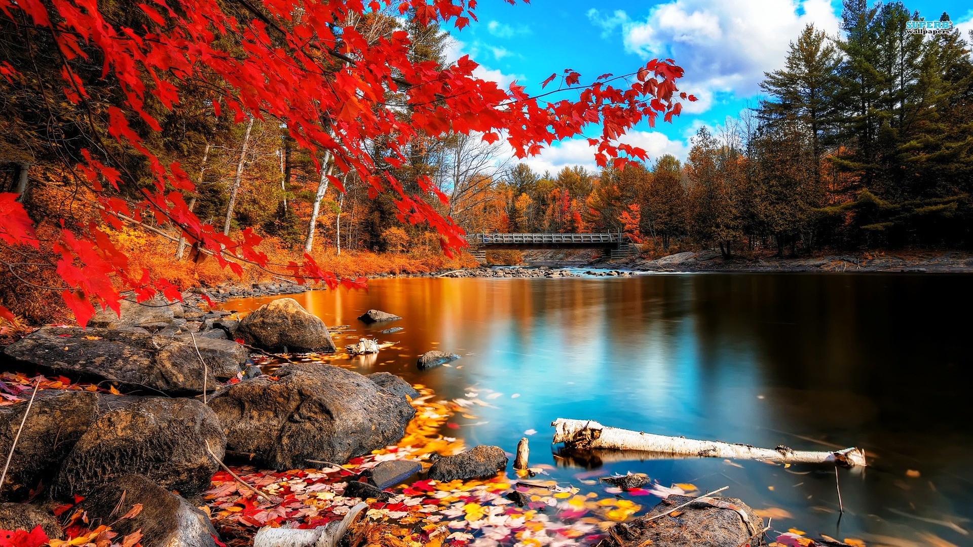 HD Lake Autumn Beauty