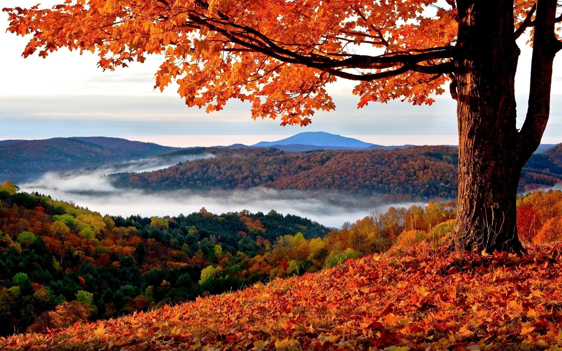 autumn hd widescreen wallpapers for laptop