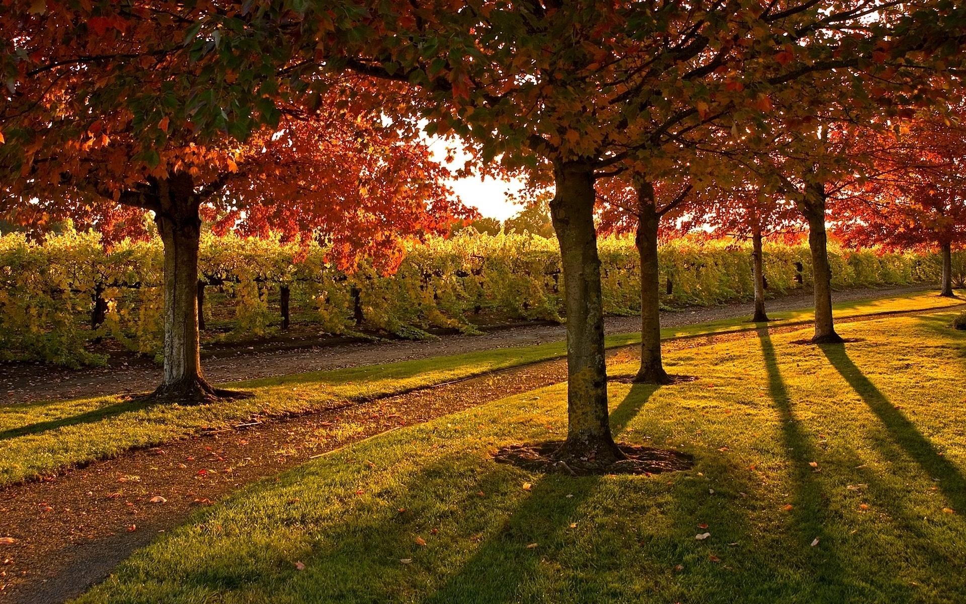 Autumn hd widescreen wallpapers for laptop