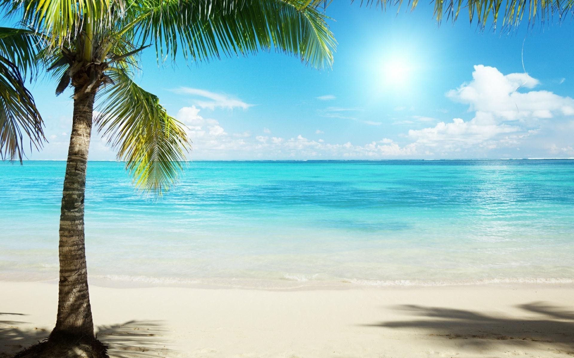 Bãi biển nhiệt đới - Hình ảnh bãi biển nhiệt đới - nắng vàng, cát trắng và biển xanh, sẽ khiến bất kì ai cũng muốn đặt chân đến những thảm cỏ biển trải dài, tận hưởng đầy đủ cảm giác mát mẻ, sảng khoái của biển trong mùa hè này. 