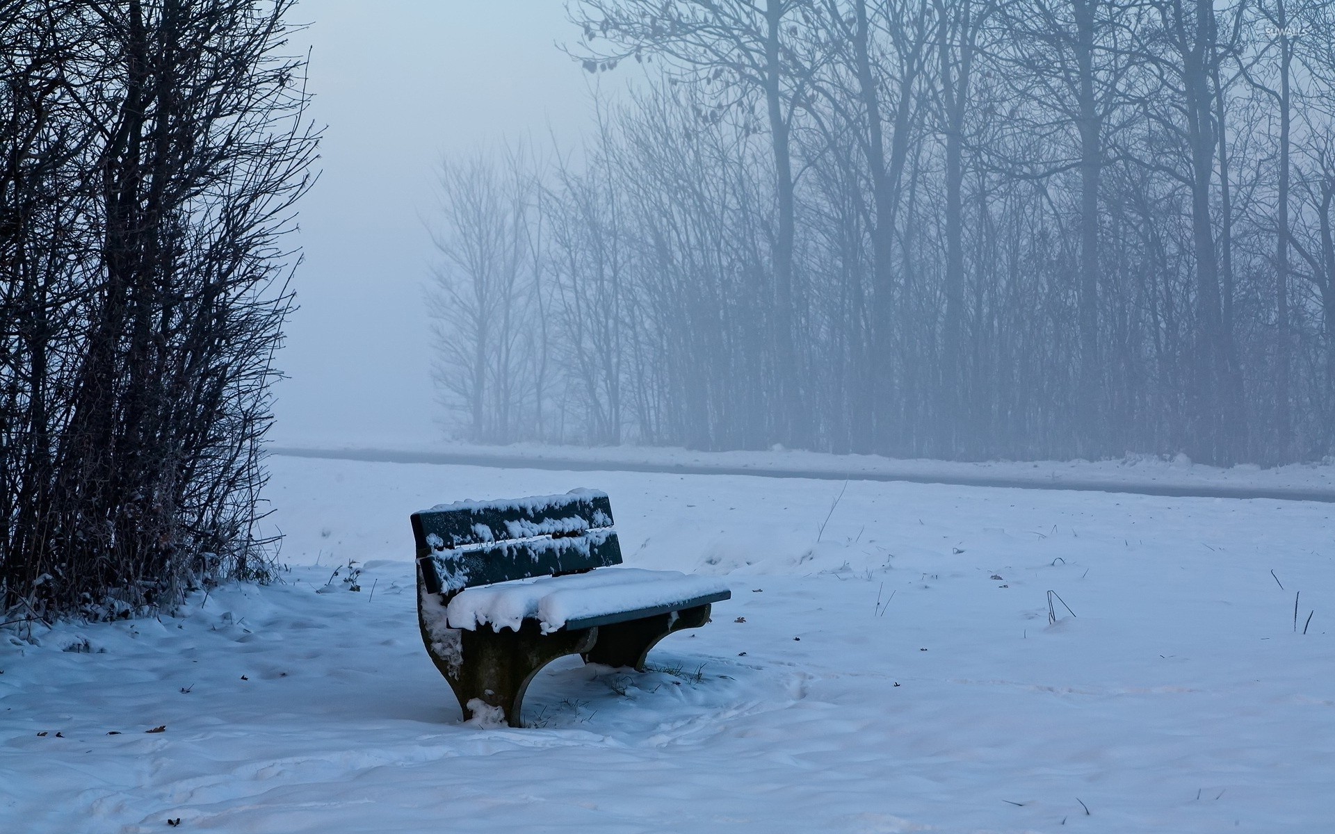 Bench in the foggy forest wallpaper jpg