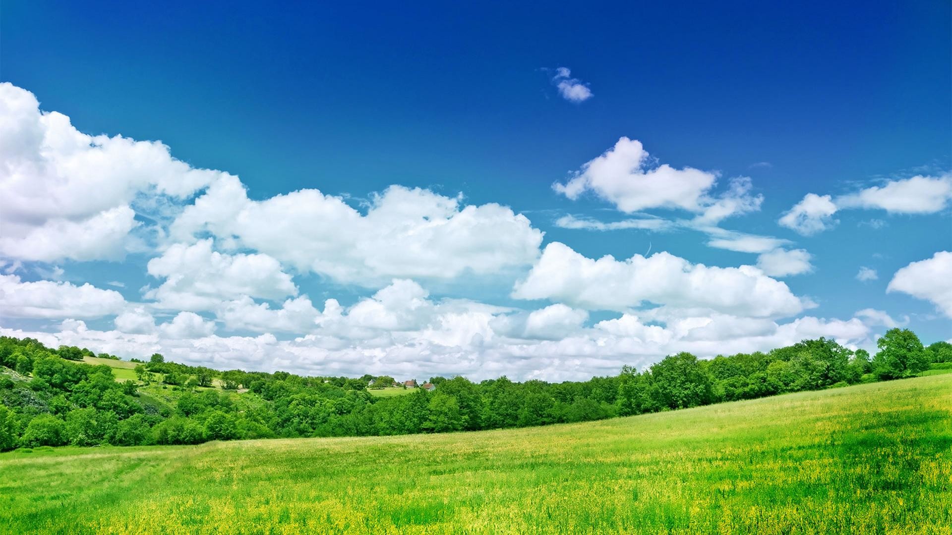 Hd fresh summer grassland scenery backgrounds wide wallpapers1280x800,1440×900,1680×1050