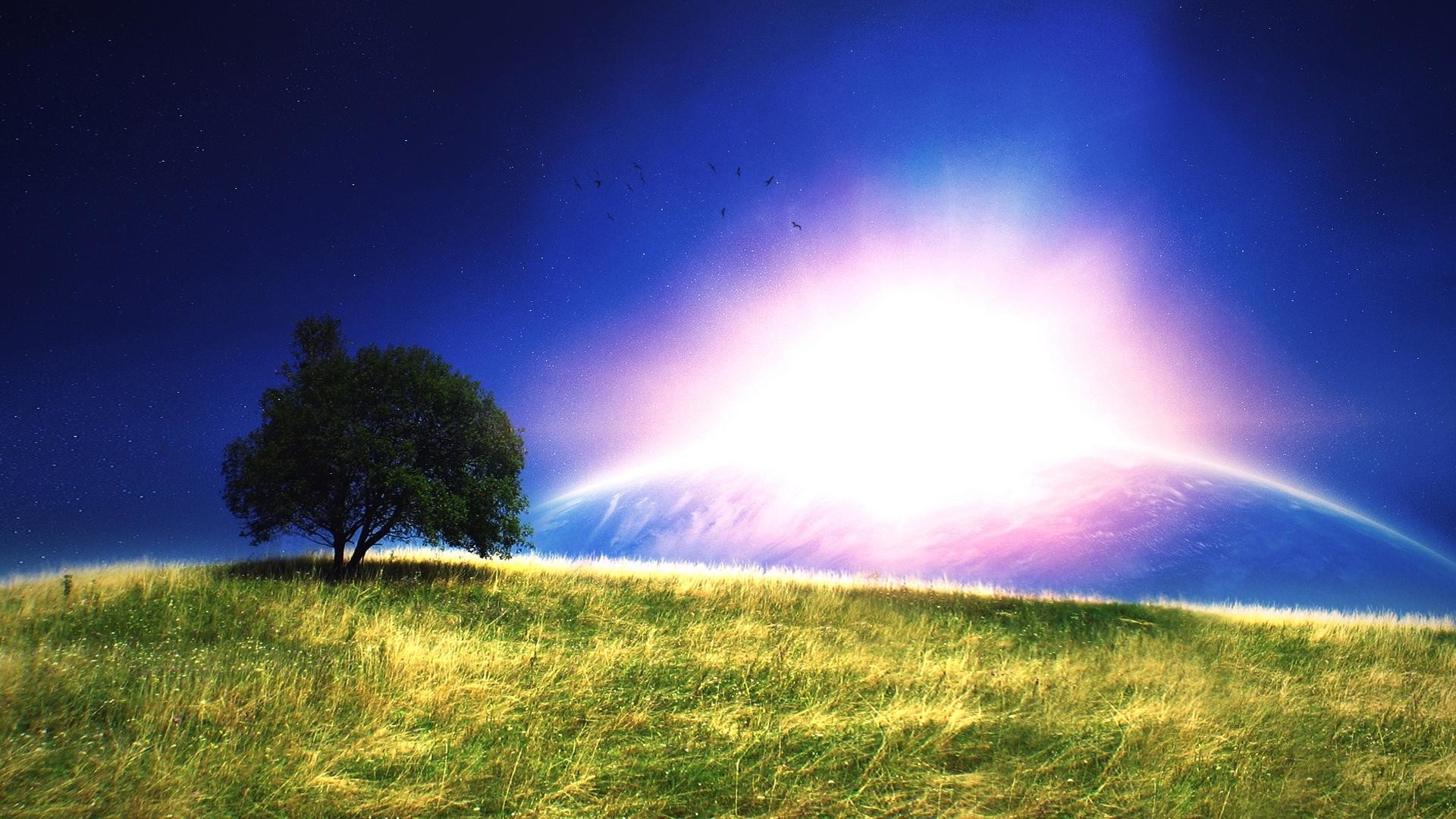 Fantasy grass and trees scenery background wide wallpapers1280x800,1440×900,1680×1050