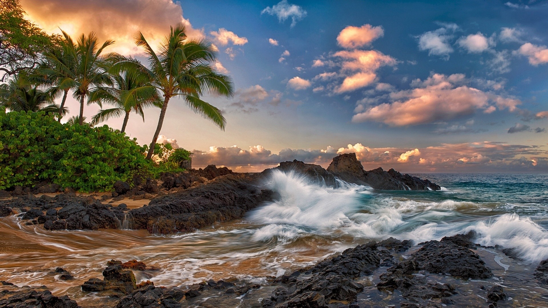 Preview wallpaper maui, hawaii, pacific ocean, rock, surf, rocks, palm
