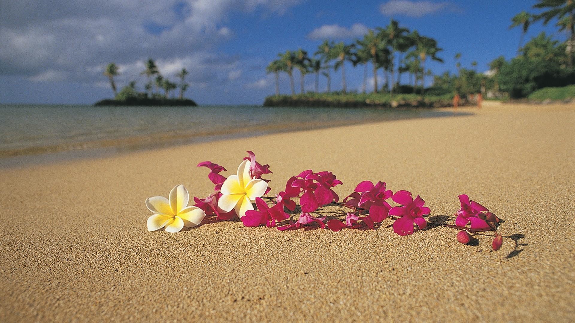 Photos-Nature-Hawaii-Wallpapers-HD