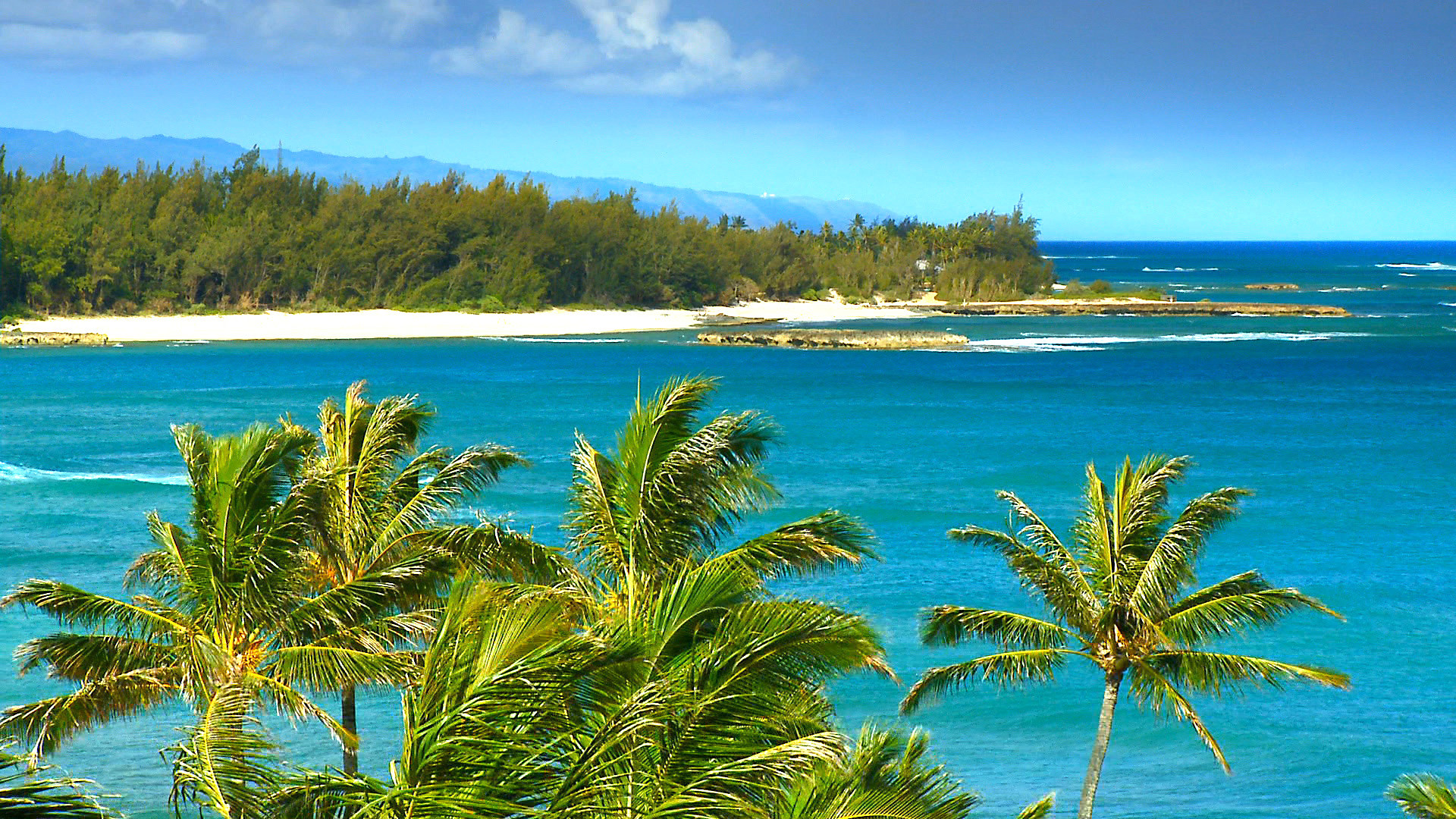 SEE The Most Beautiful Hawaii Beaches HD Blu Ray Video DVD The