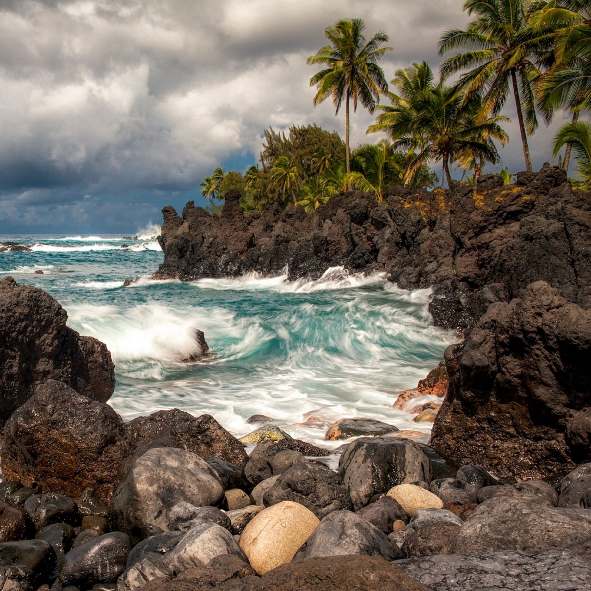 Preview wallpaper maui, hawaii, pacific ocean, cliffs, rocks, surf, palm