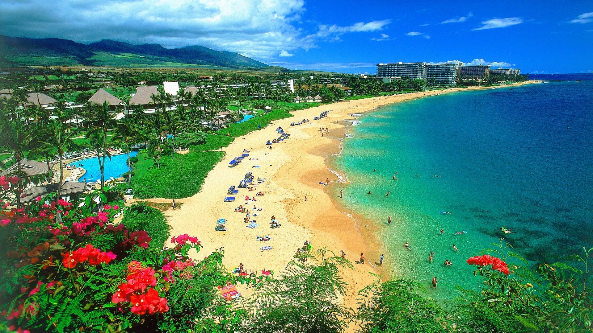 Hawaii Wallpapers là tác phẩm nghệ thuật kỳ diệu, tận hưởng chỉnh sửa và cập nhật màn hình của bạn với bộ sưu tập này. Đắm mình trong vẻ đẹp tự nhiên của Hawaii, nơi có những bãi biển đẹp nhất trên thế giới. Xem ngay những hình nền độc đáo này để trải nghiệm hành trình trí tưởng tượng của bạn.