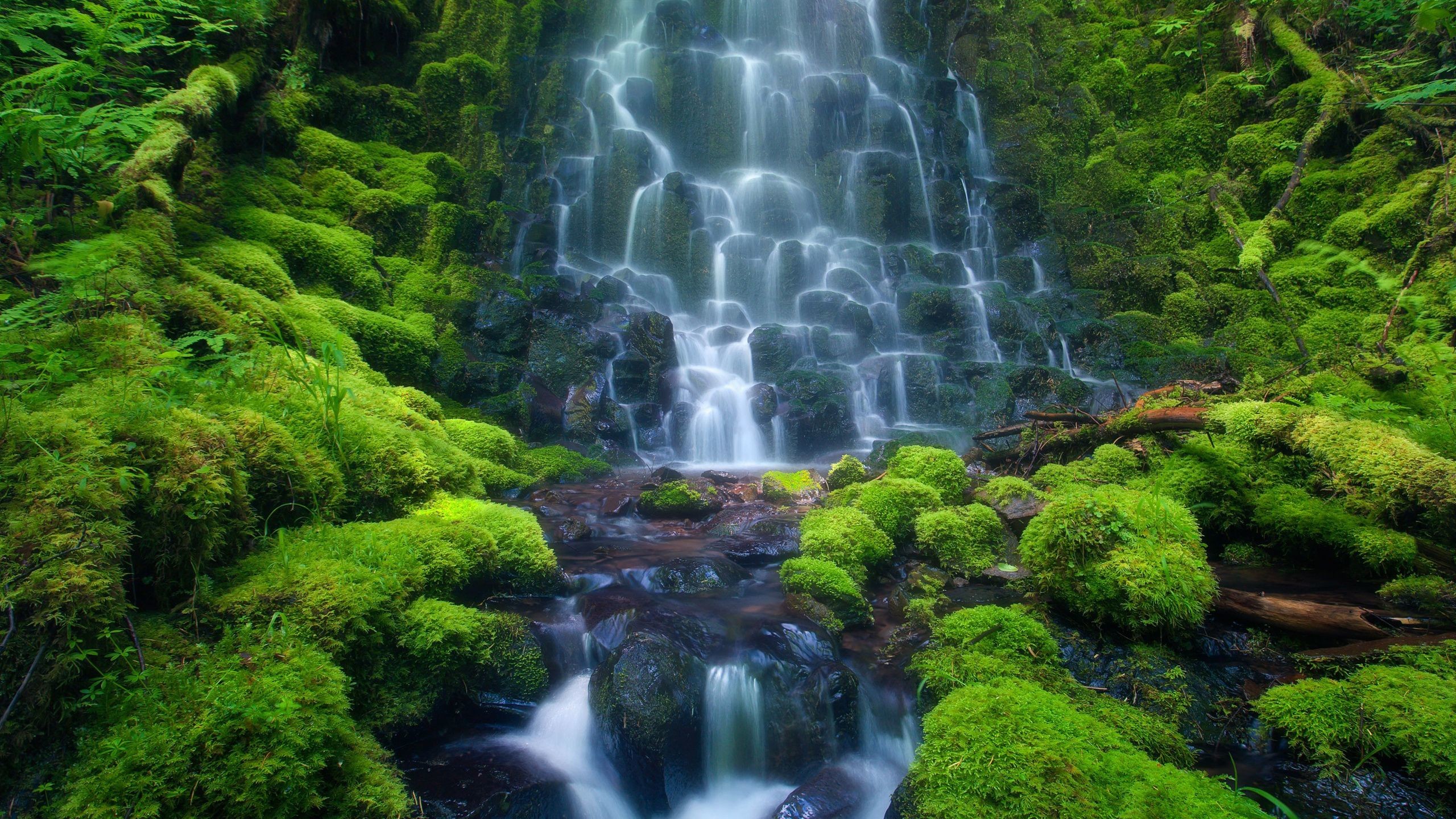 41+ Animated Waterfall Wallpaper with Sound