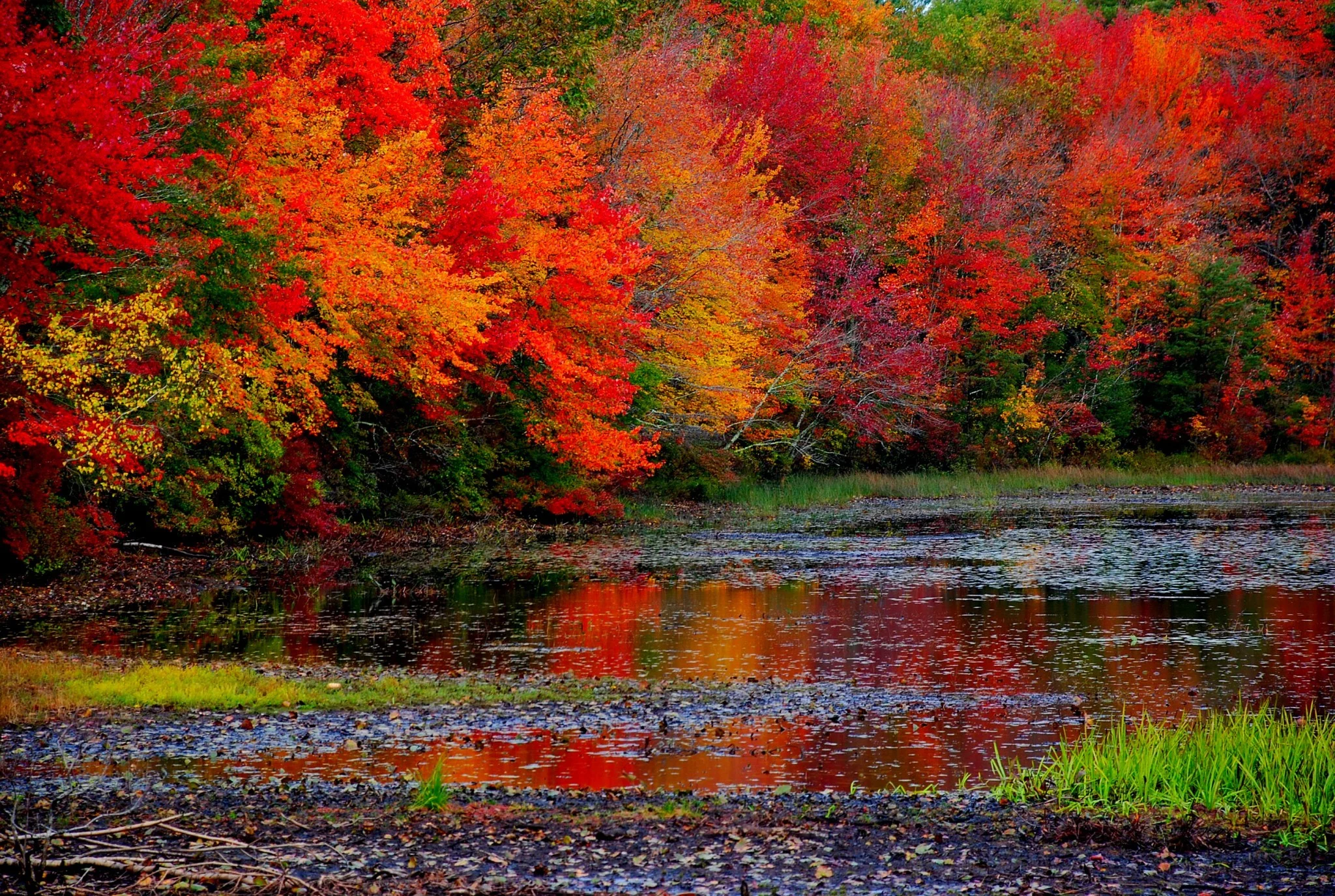 Fall foliage planning guide