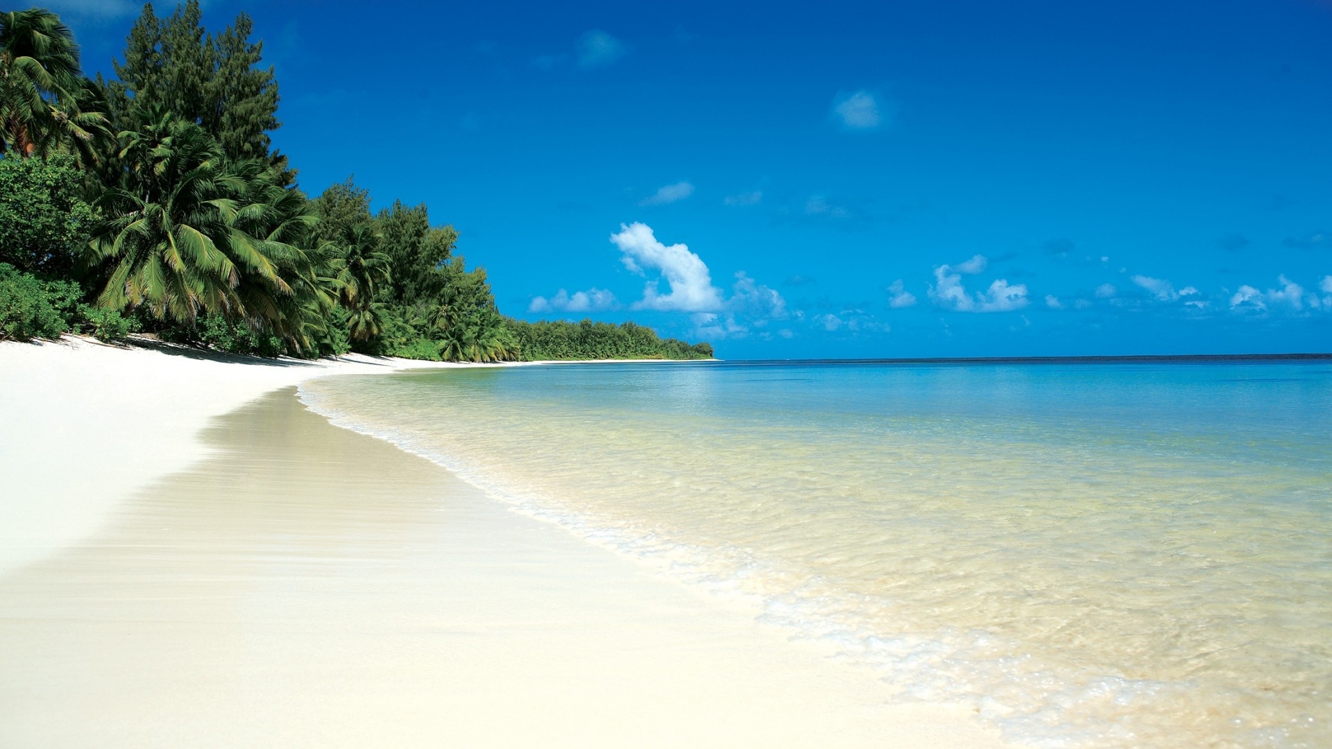 Preview wallpaper beach, tropics, sand, white, palm trees, relax 1920×1080