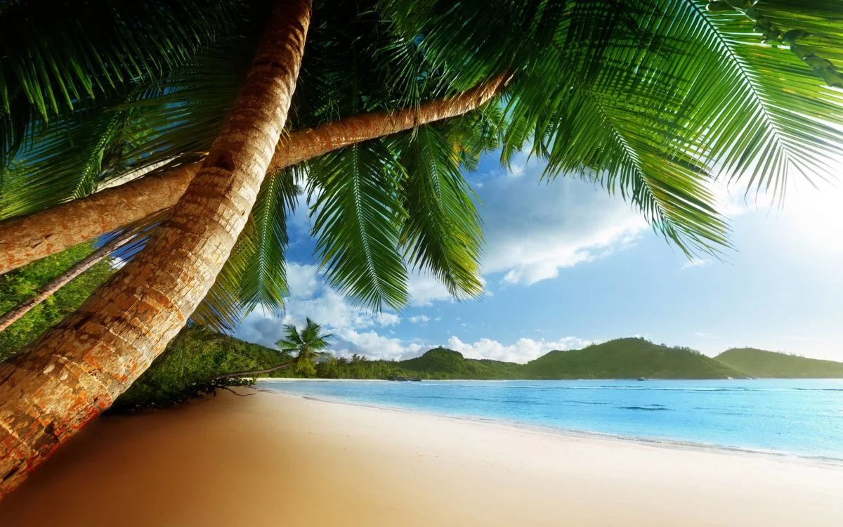 46+ Caribbean Wallpaper Widescreen