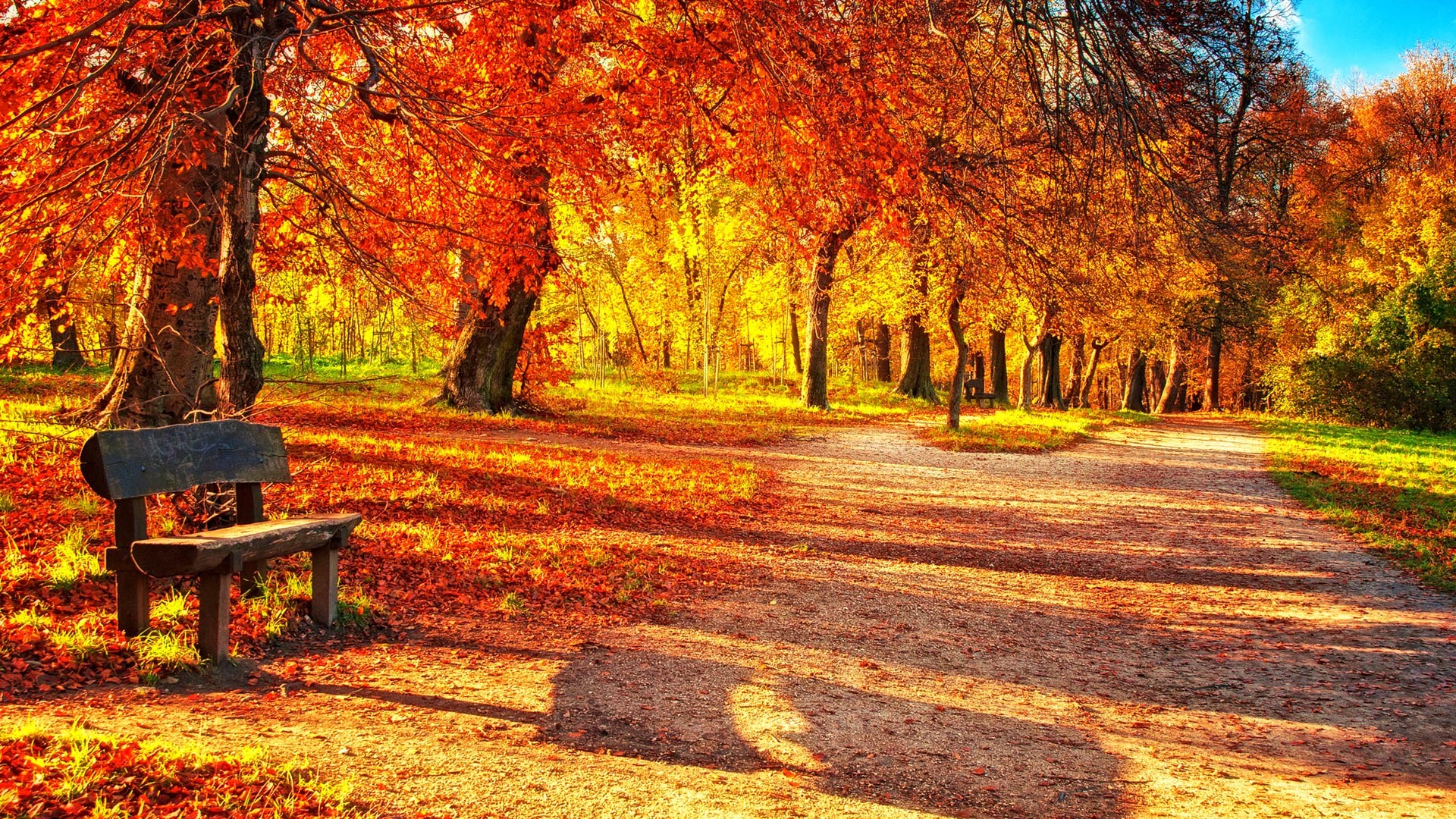 Download Autumn Leaves Wallpaper Desktop #x0ray Â» hdxwallpaperz.com