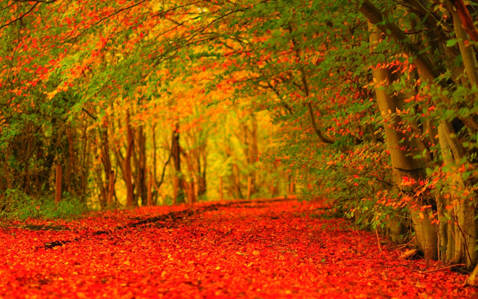 Fall desktop background pictures free sharovarka Pinterest Fall desktop backgrounds, Desktop background pictures and Desktop backgrounds