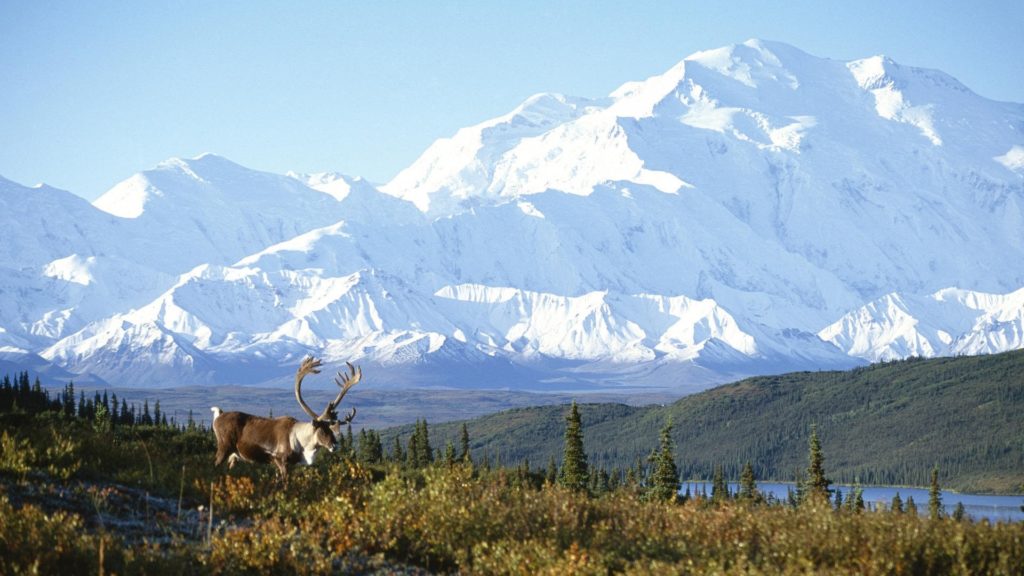 55+ Alaska Wallpaper Screensaver