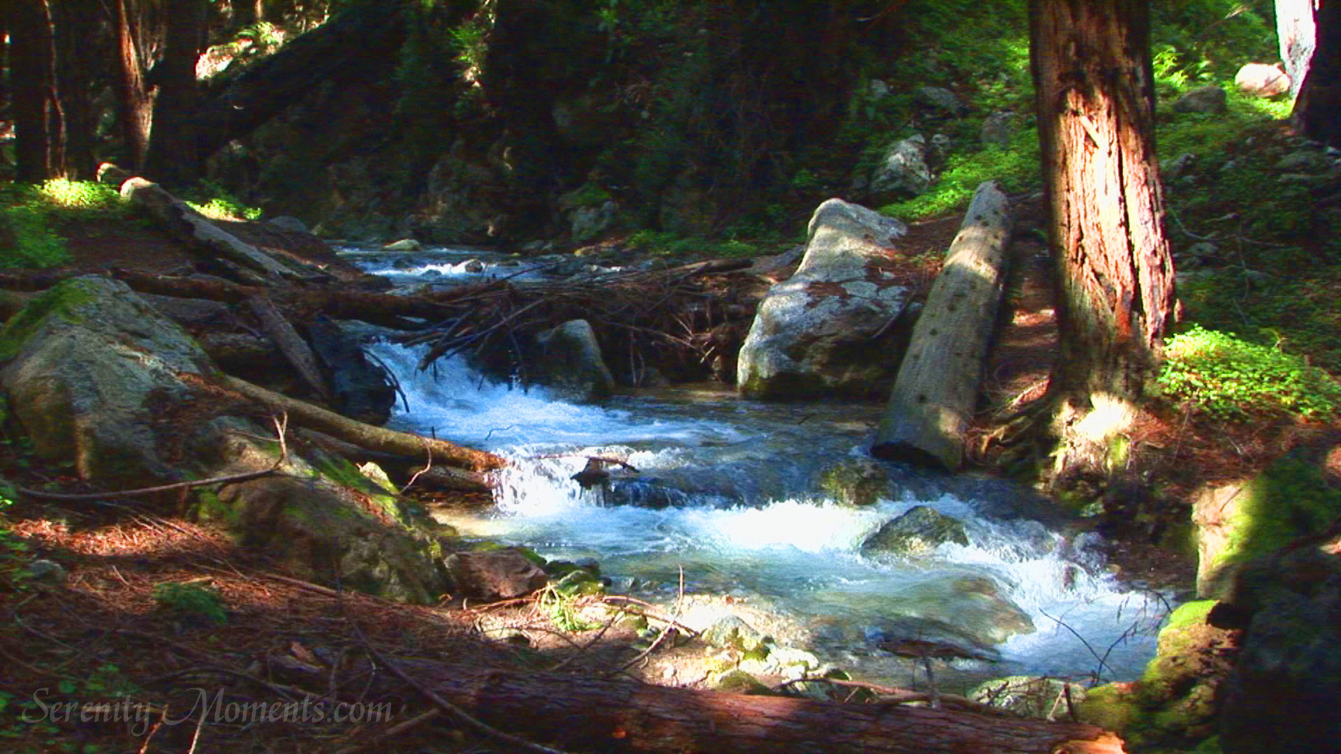 Big Sur river Screensaver