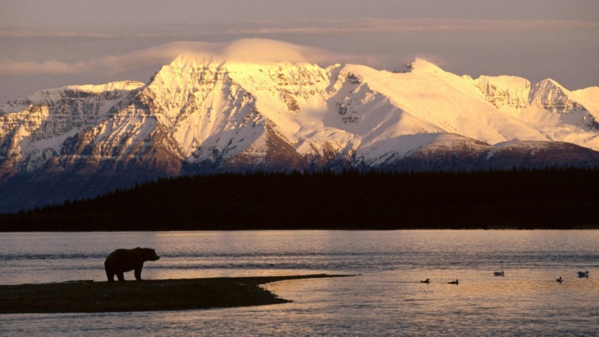 55+ Alaska Wallpaper Screensaver