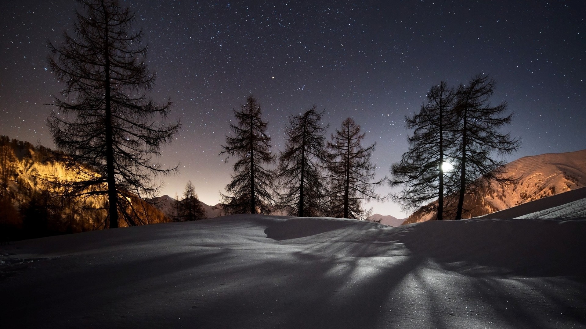 Preview wallpaper winter, trees, snow, night, landscape 1920×1080