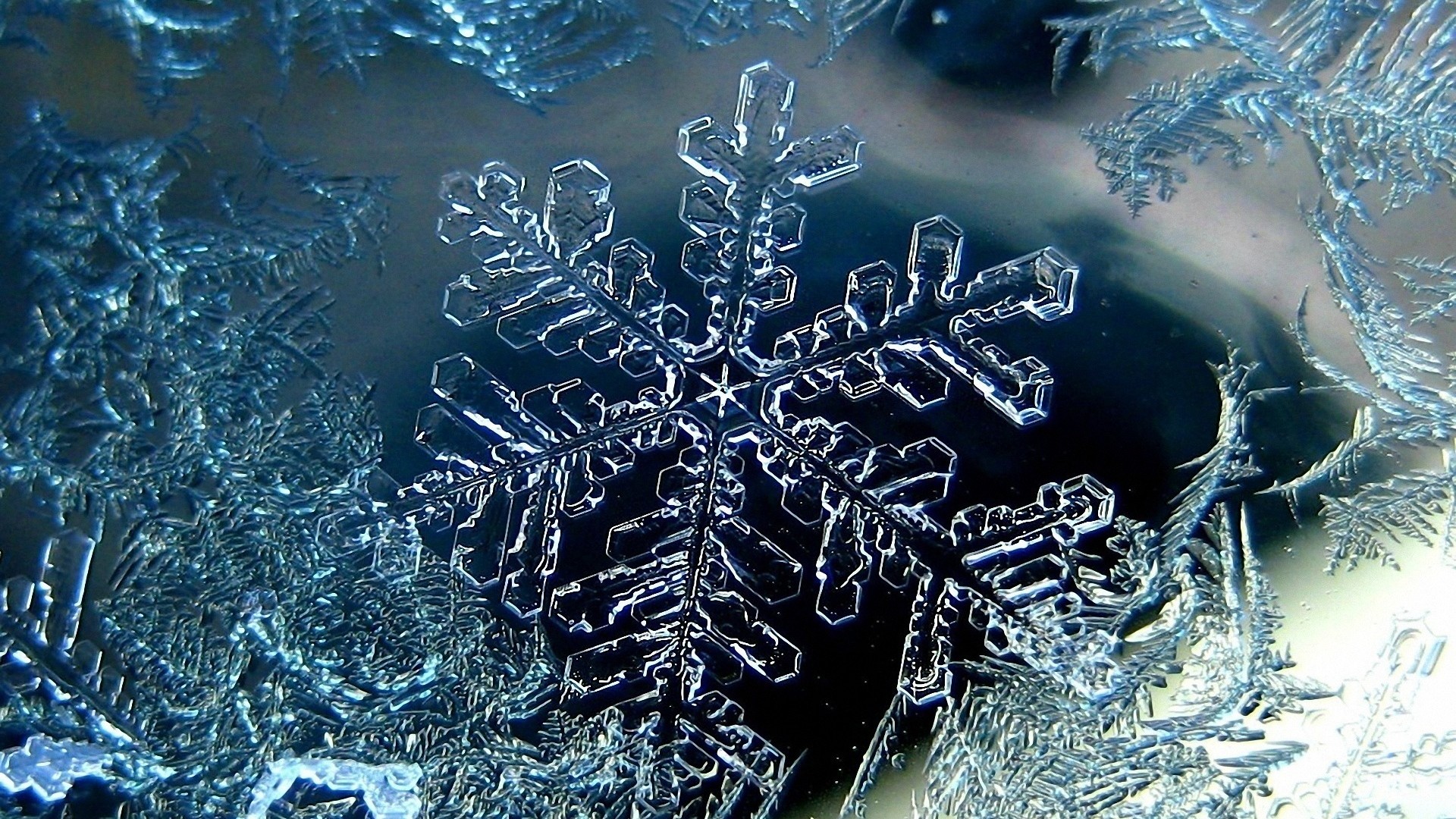 Wallpaper snowflakes, shapes, patterns, ice, winter