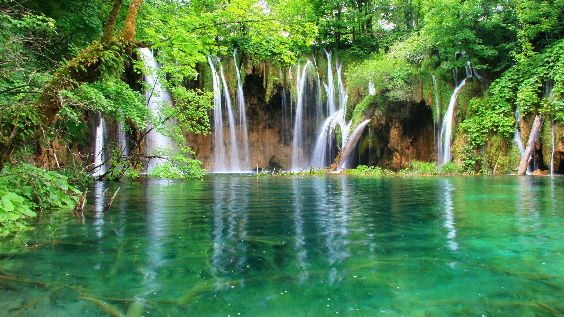 Green tree waterfall image