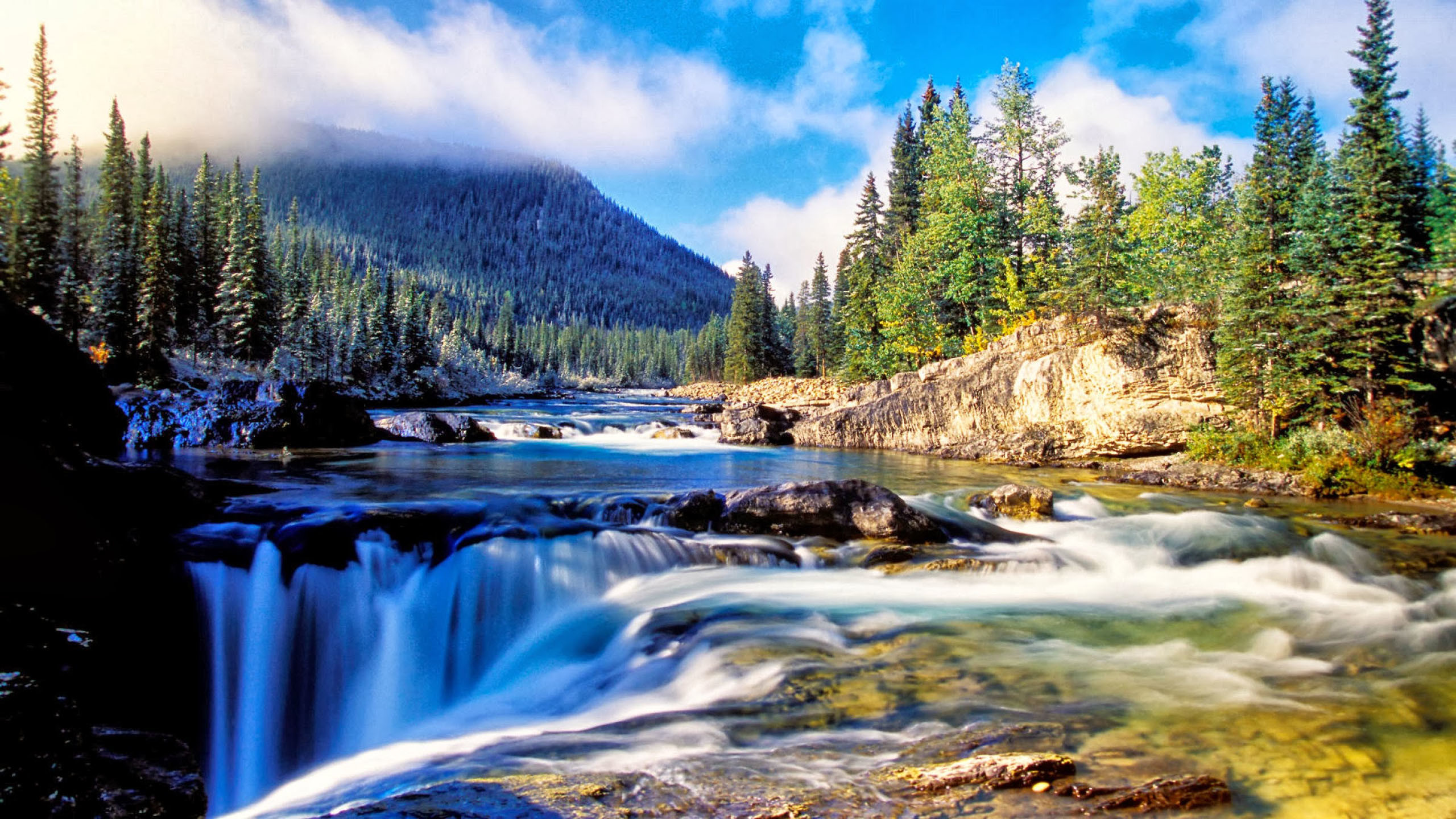 Nature Mountain Dense Spruce Forest, River Rock Waterfall Background Wallpapers13.com