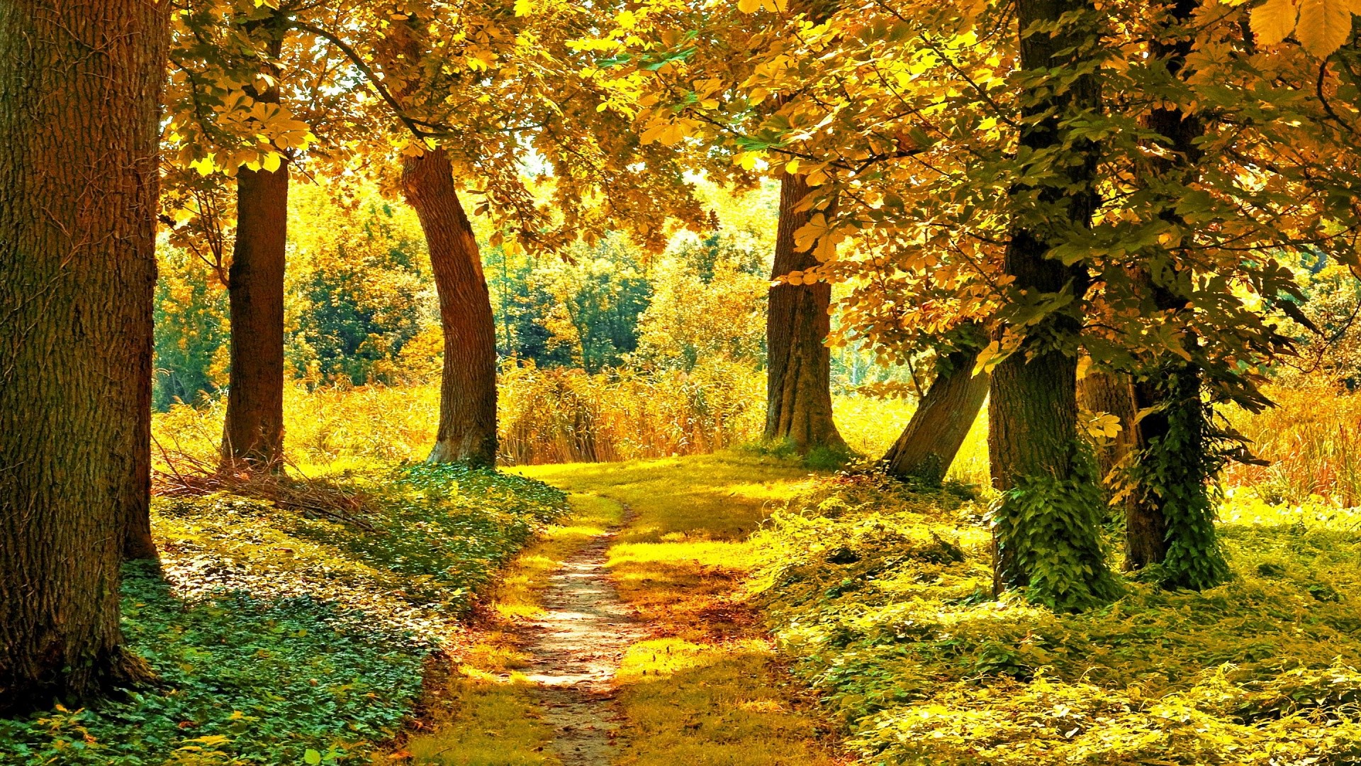 21+ Best HD Autumn Landscape Wallpapers | feelgrPH Â· Landscape  WallpaperWallpaper Desktop