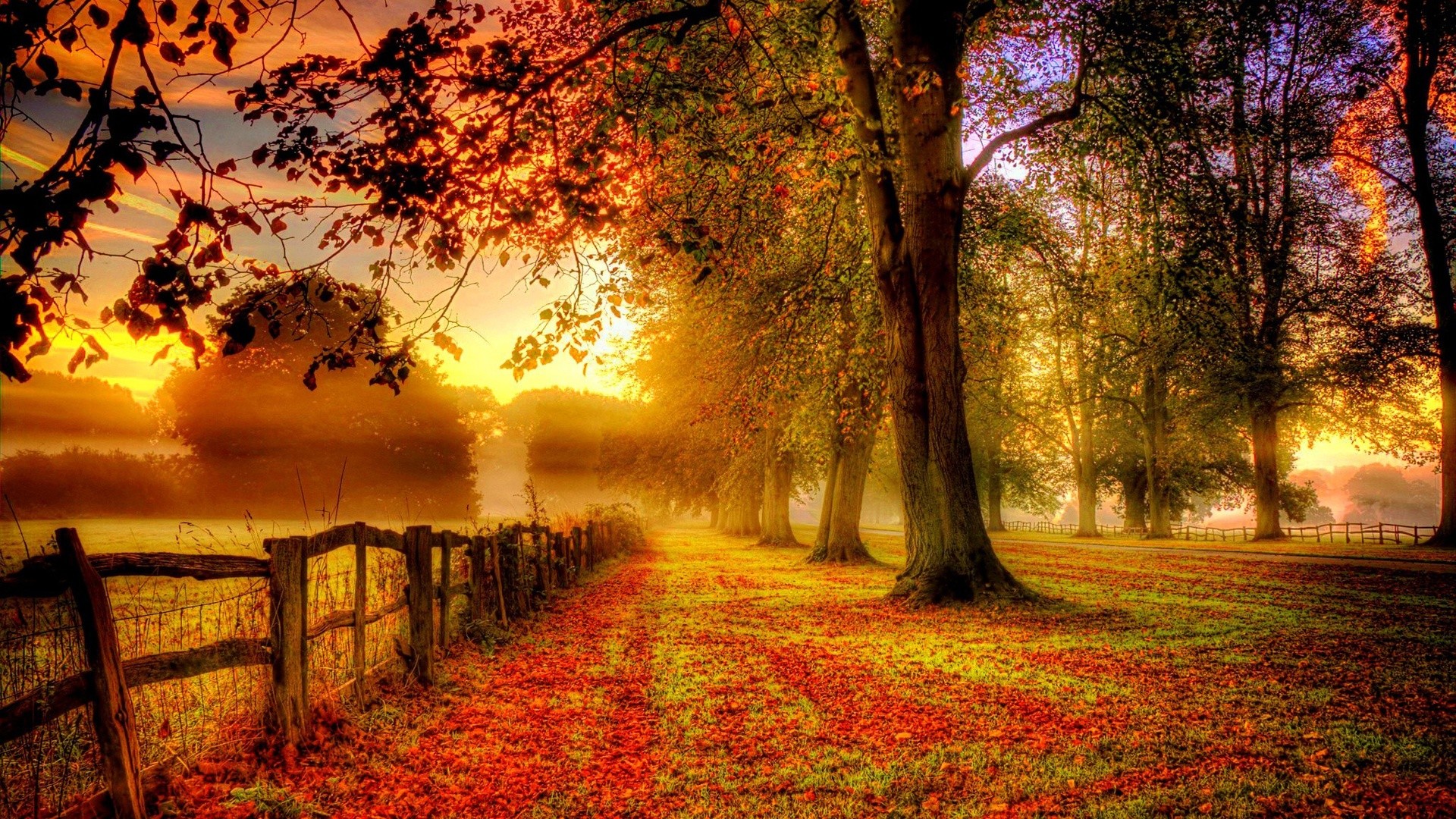 Autumn scenery red leaves road fence Wallpaper, Desktop Wallpapers