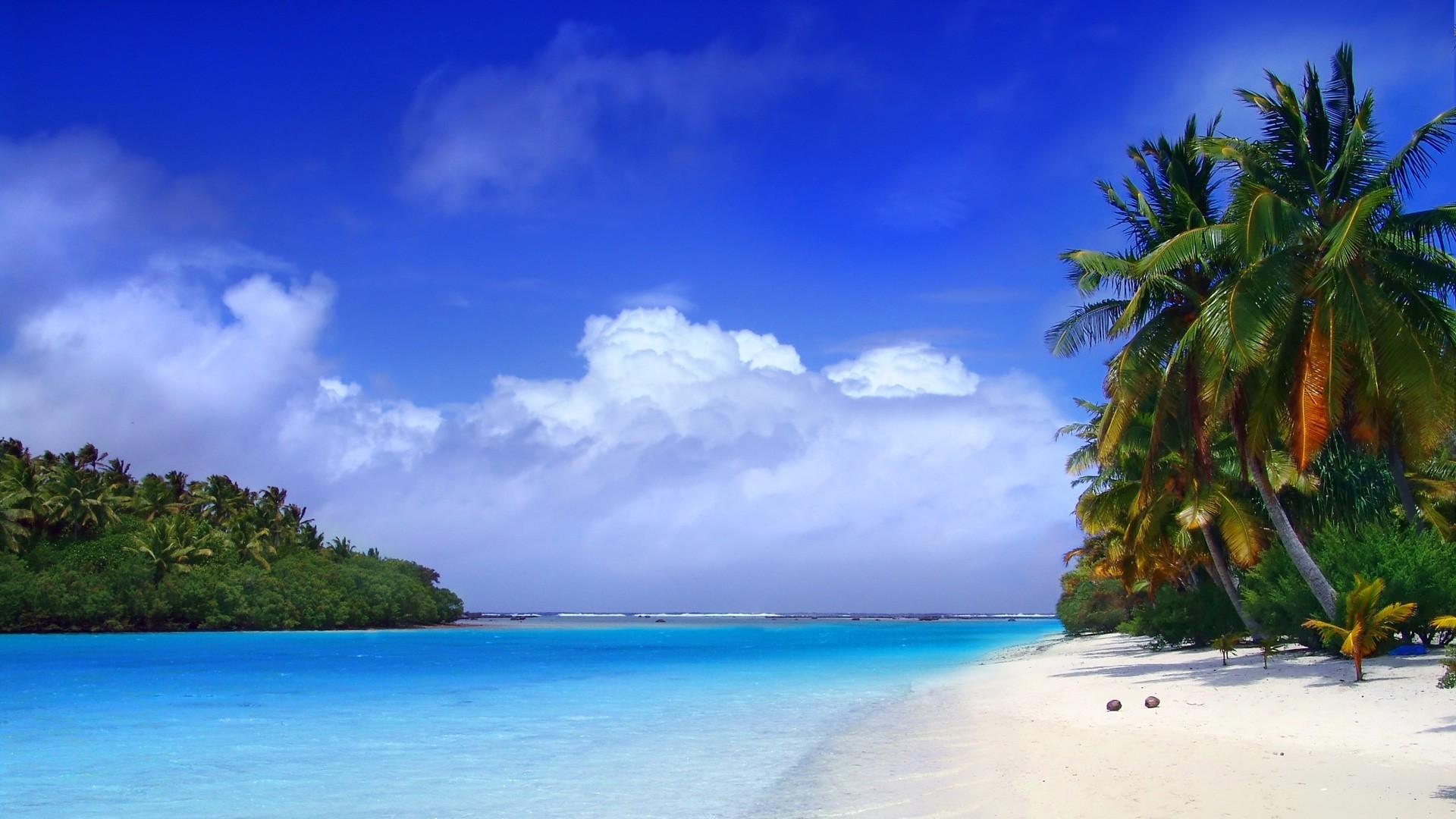 Preview wallpaper beach, tropics, sea, sand, palm trees, clouds 1920×1080