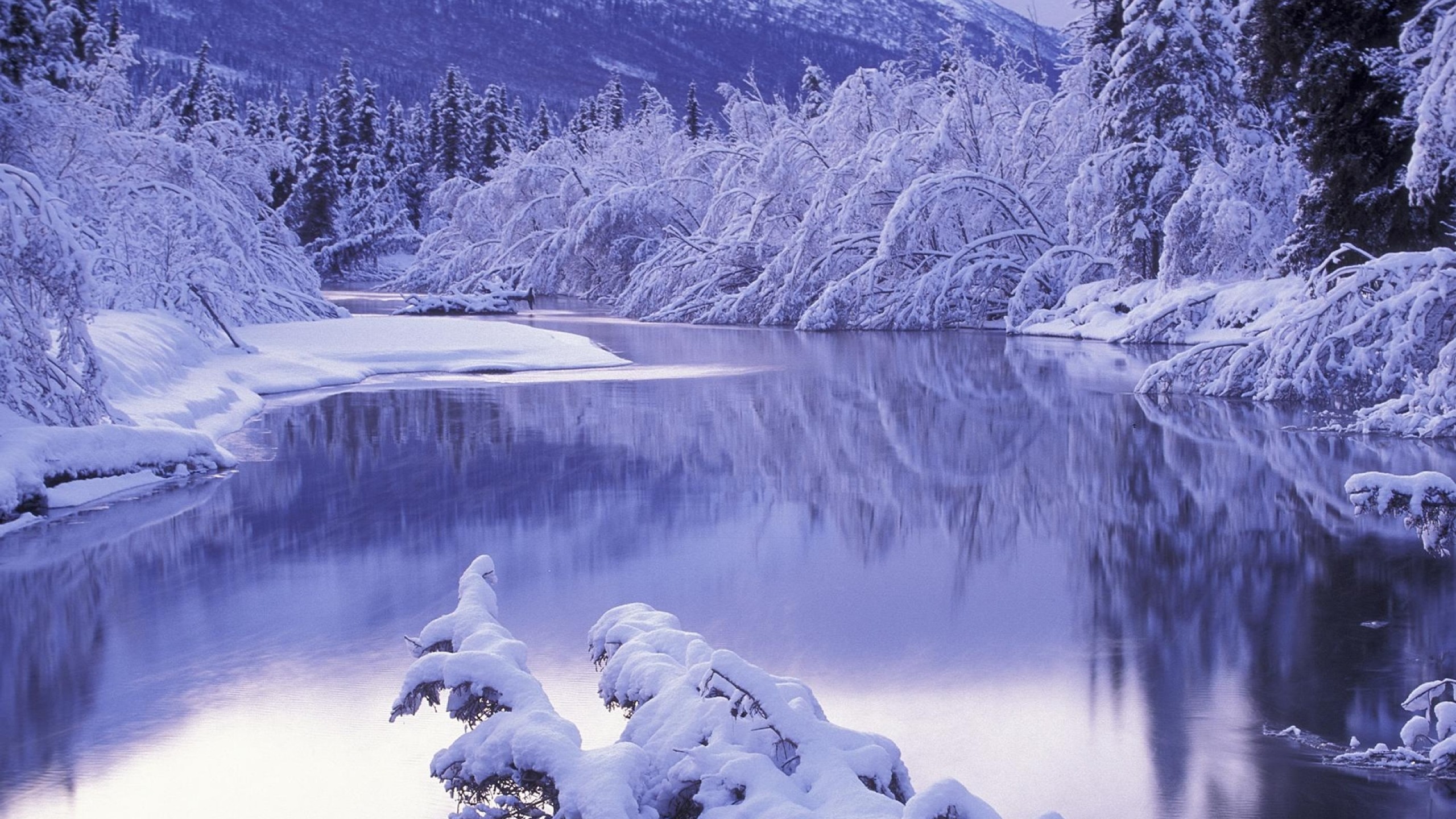 Preview wallpaper snow, white, winter, nature, scenery 2560×1440