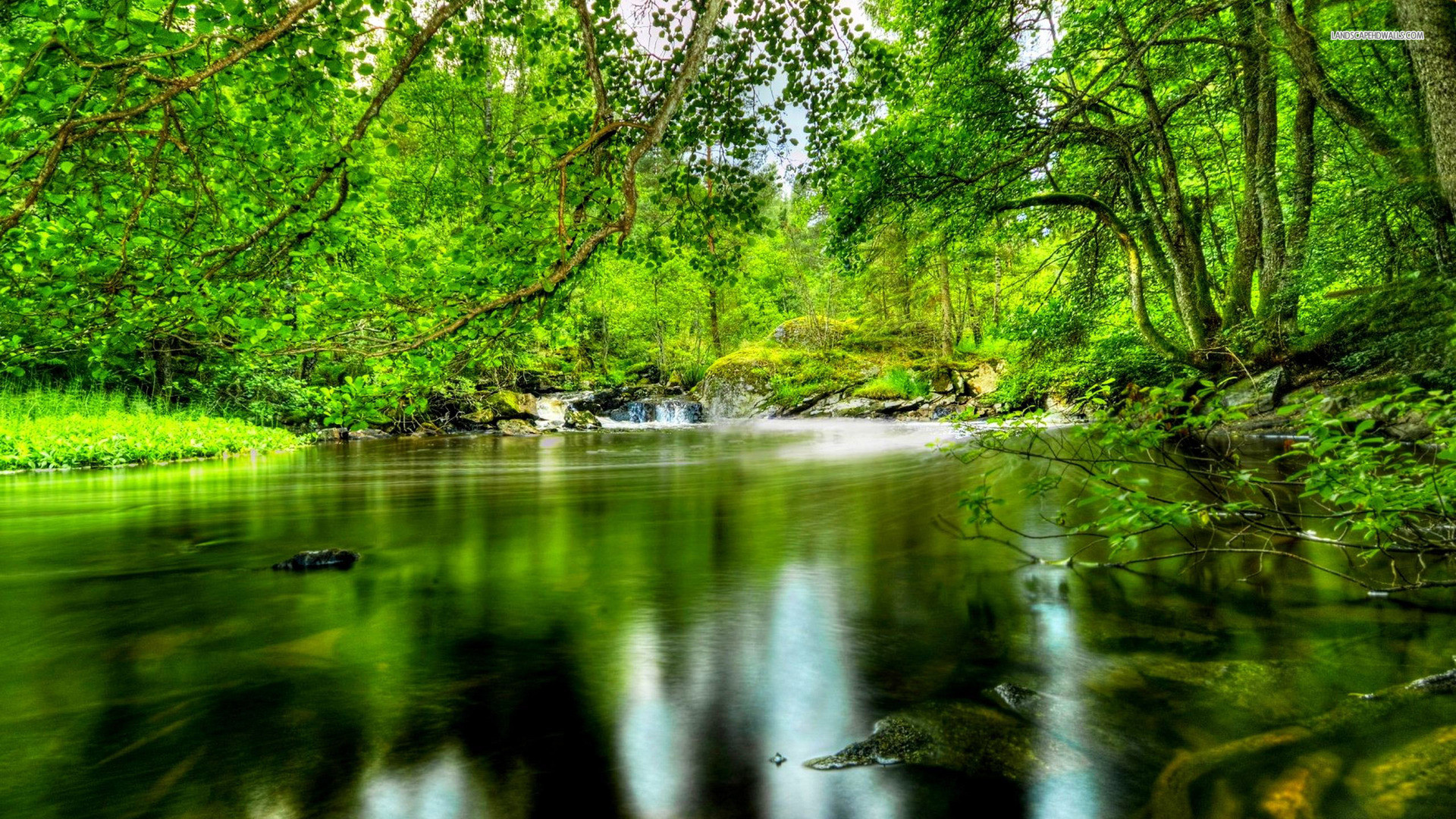 Hd forest river nature wallpapers 1920×1080 JPEG Image