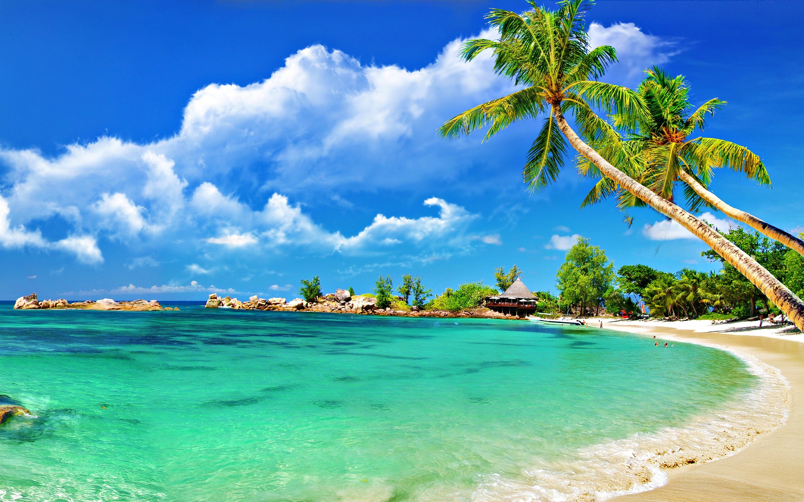 Wallpaper, Tropical Beach Wallpapers hd wallpaper, background desktop