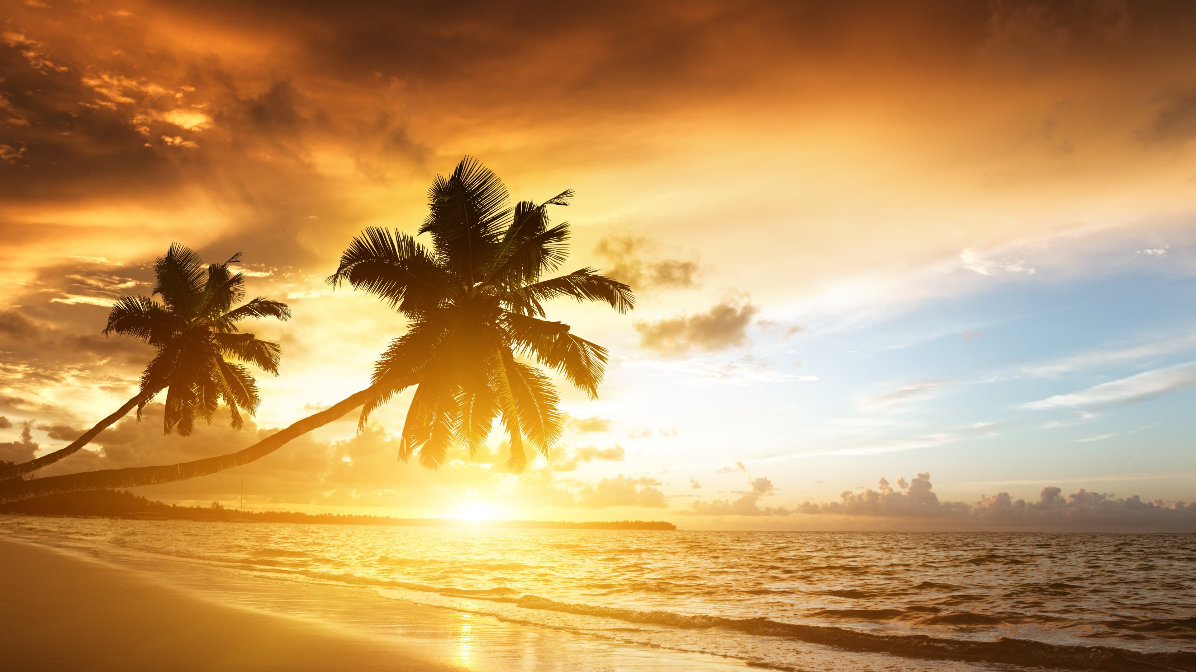 Preview wallpaper beach, tropics, sea, sand, palm trees, sunset, evening