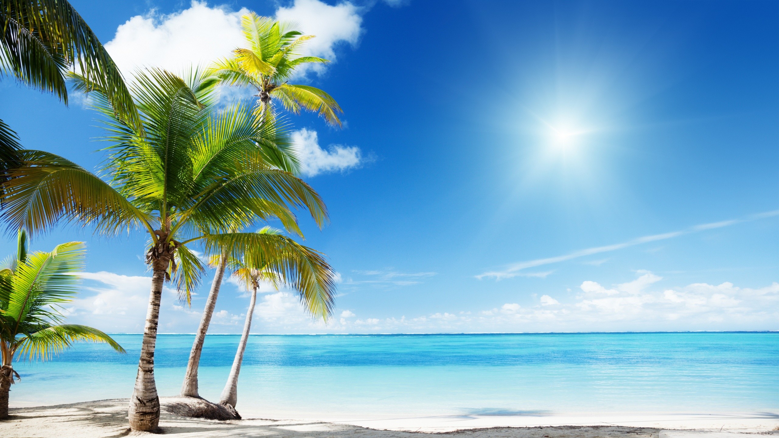 Tropical Beach Paradise HD desktop wallpaper Widescreen High