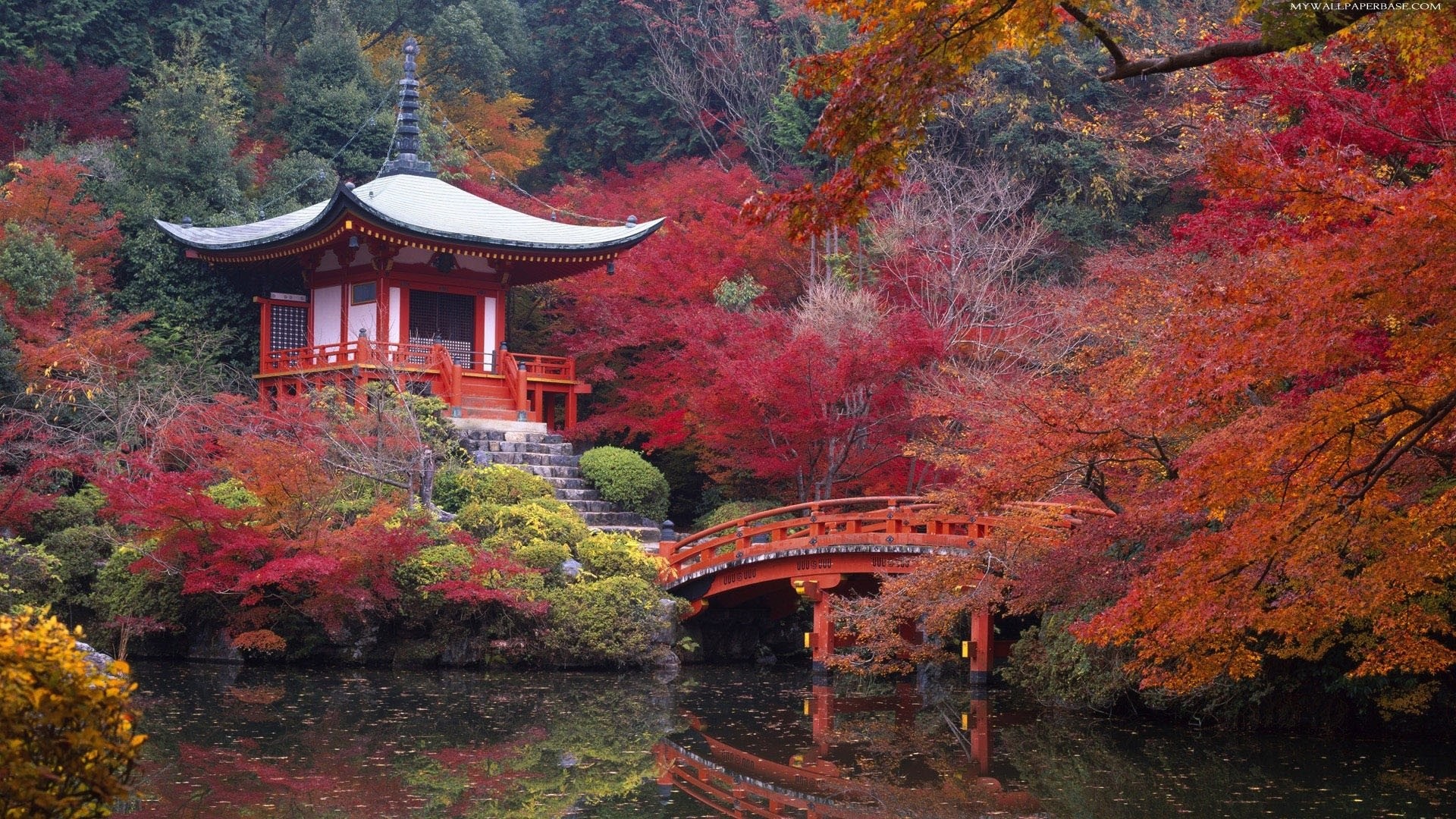 Explore Japanese Tea House, Japanese Gardens, and more!