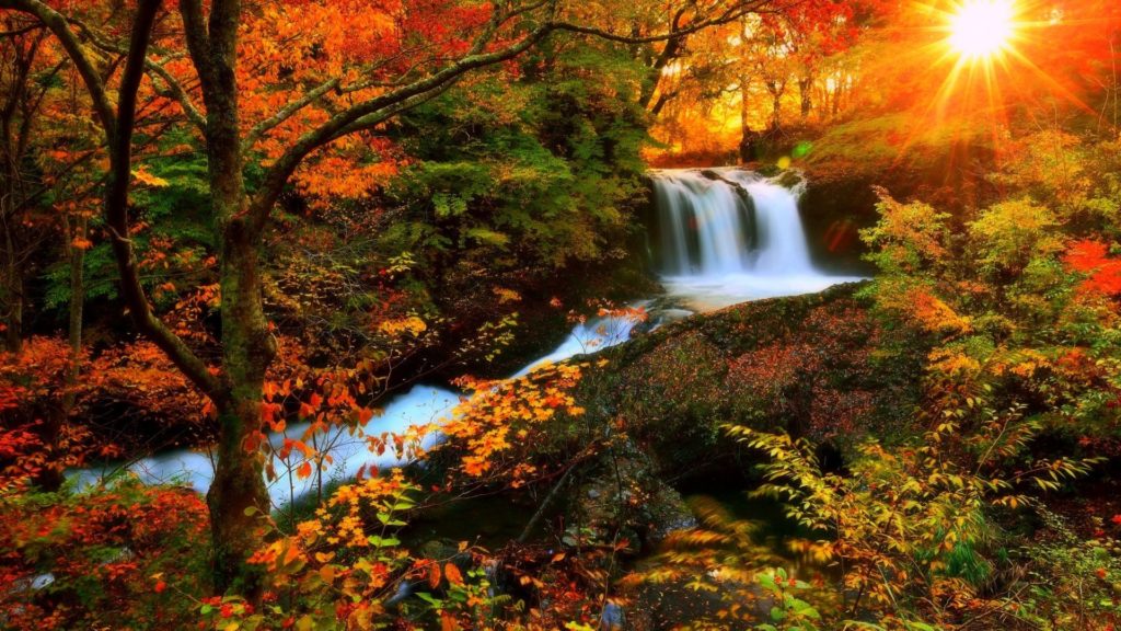 Waterfalls – Autumn Waterfalls Photography Sunlight Love Seasons ...