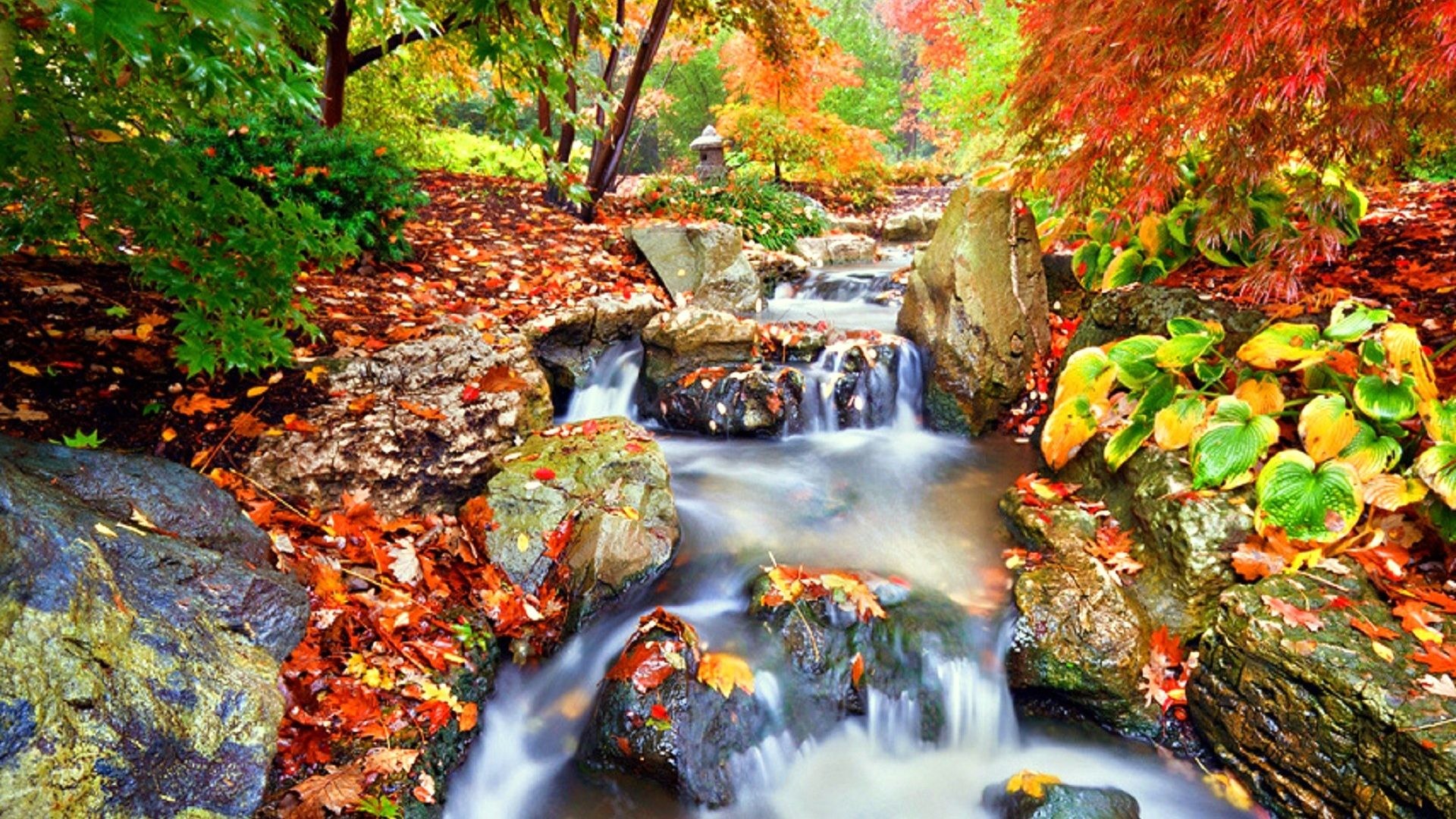 August 23, 2016 – Fall Season Japanese Garden Places Parks Photography Love  Four Seasons Autumn